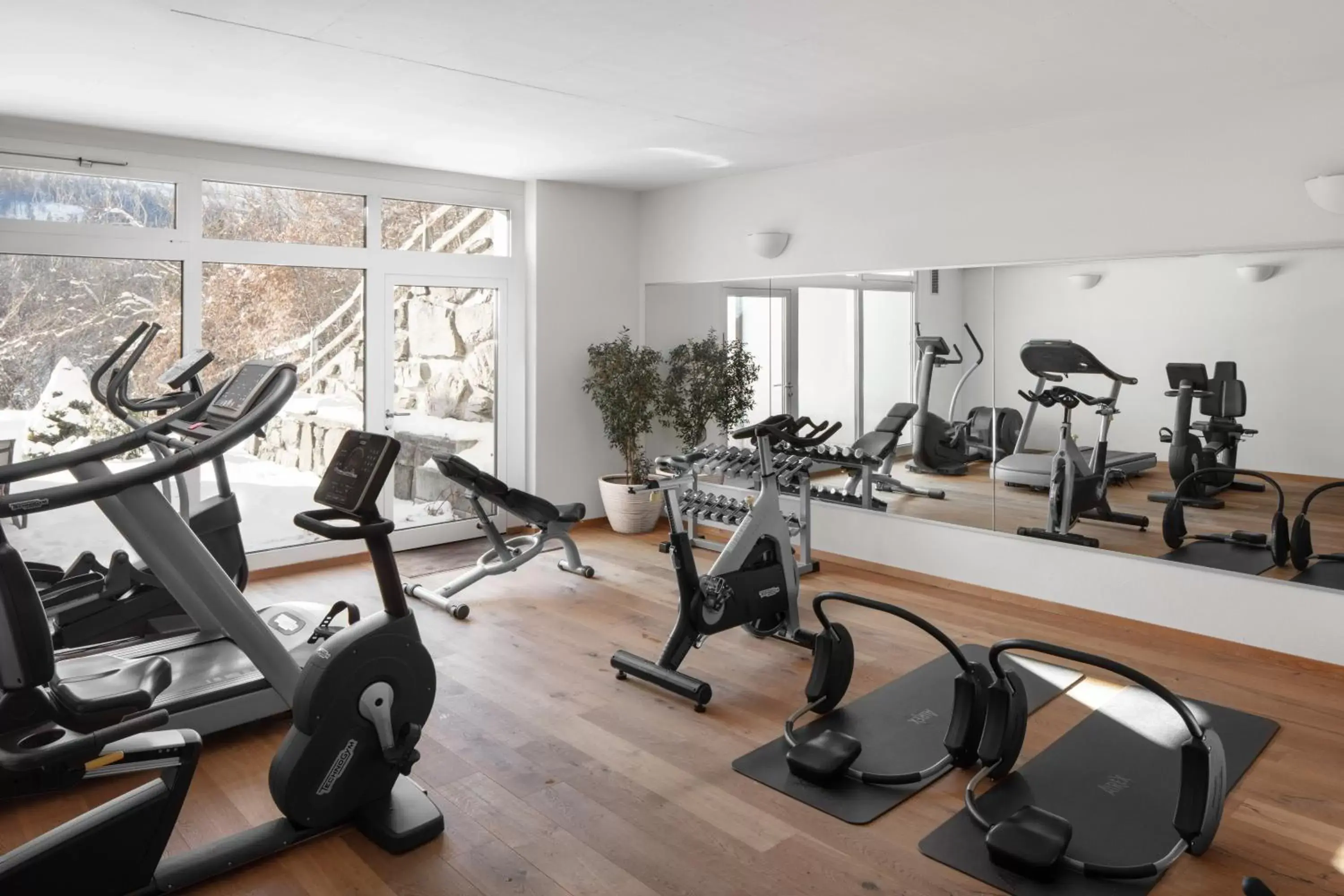 Fitness centre/facilities, Fitness Center/Facilities in Hotel Waldegg - Adults only