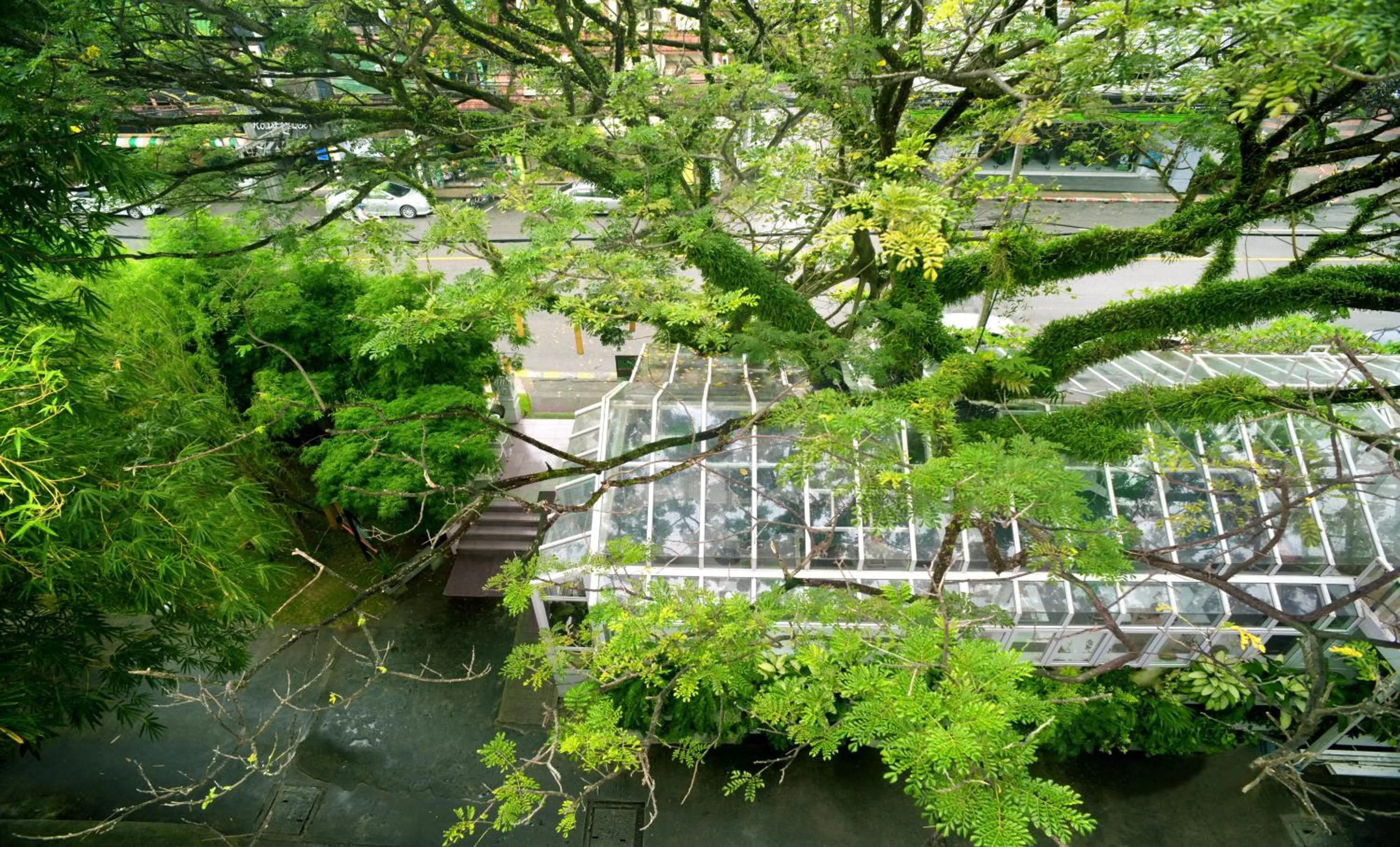 Restaurant/places to eat in Sino House Phuket Hotel - SHA Plus