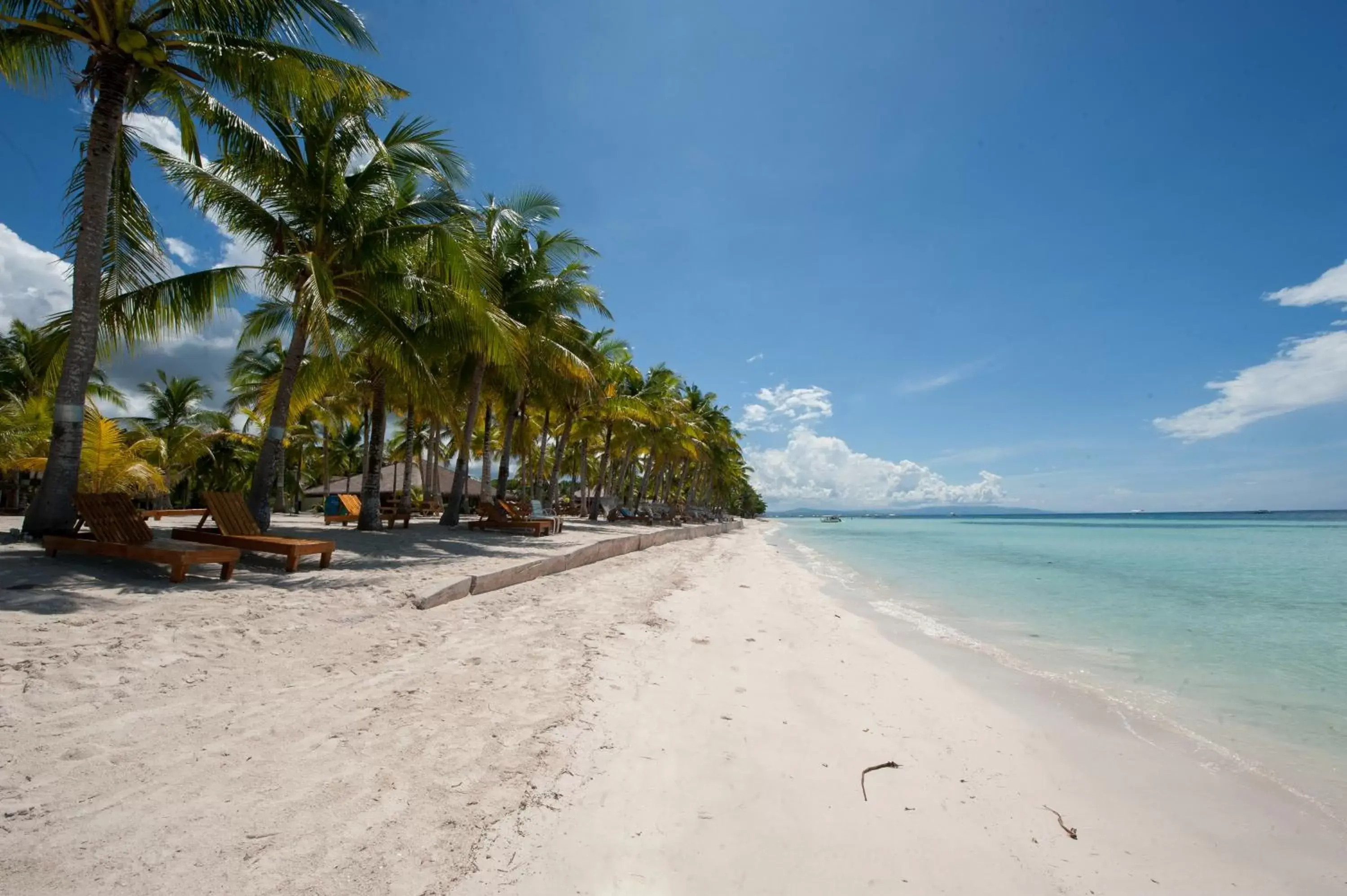 Beach in Bohol Beach Club