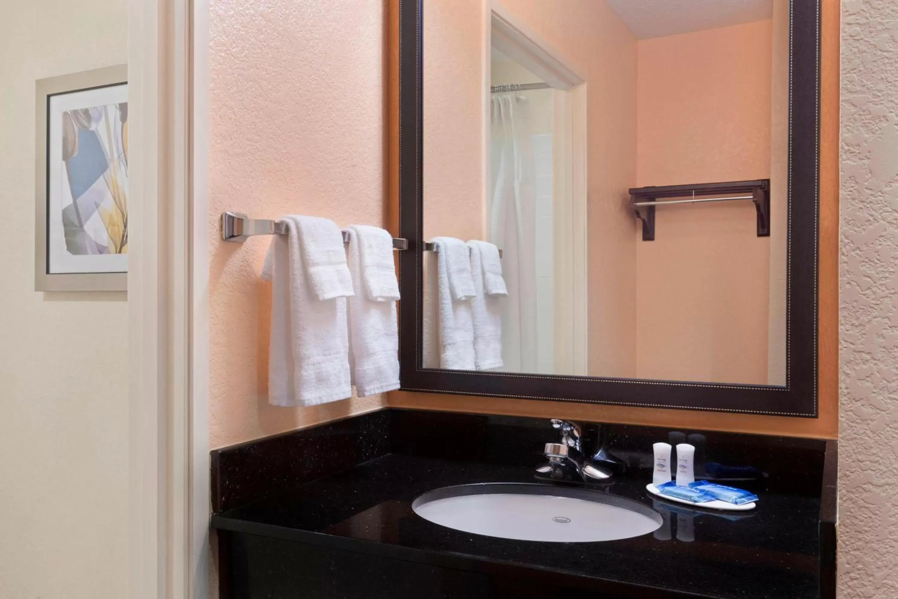 Bathroom in Fairfield Inn and Suites by Marriott Tampa Brandon