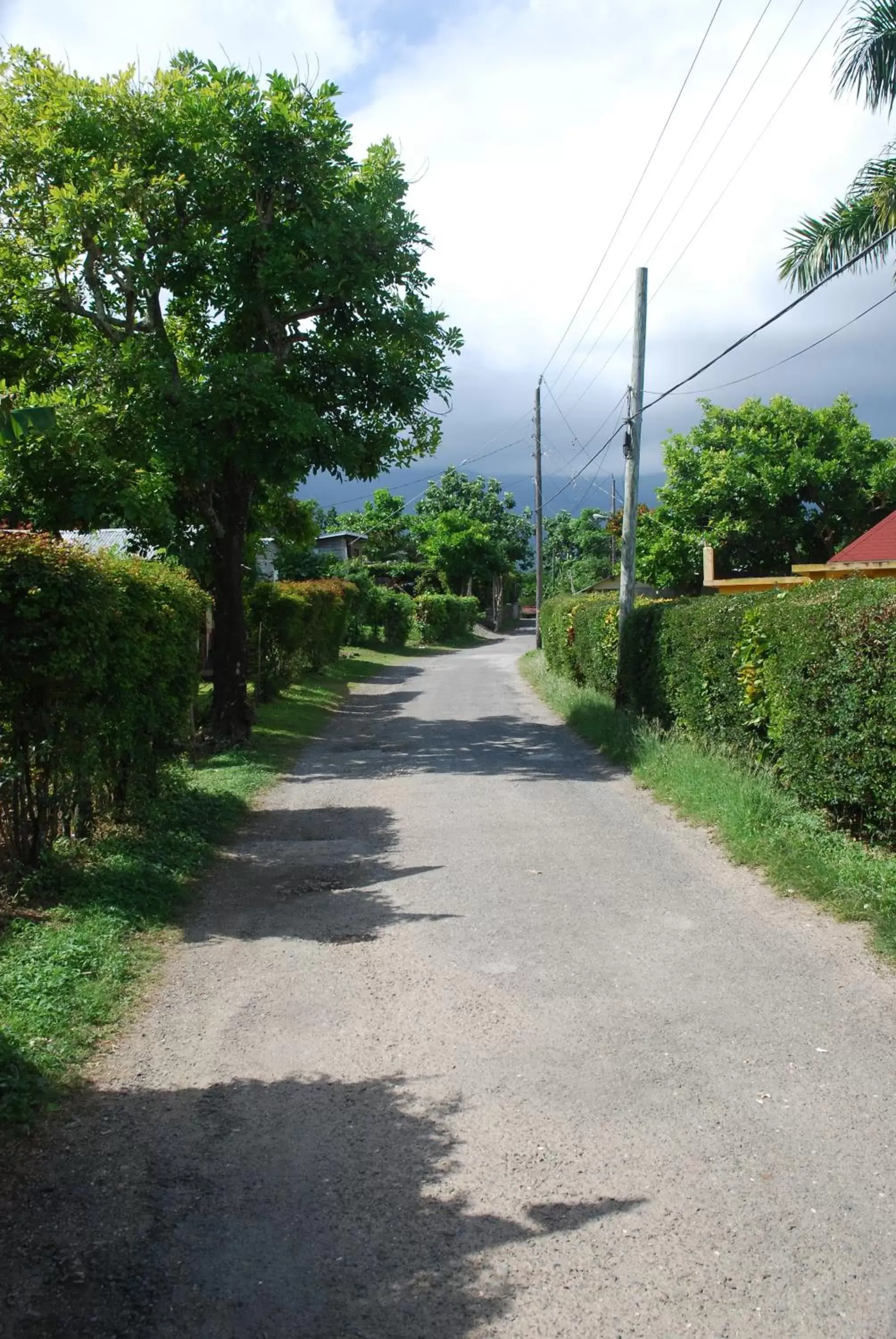 Street view in Zion Country