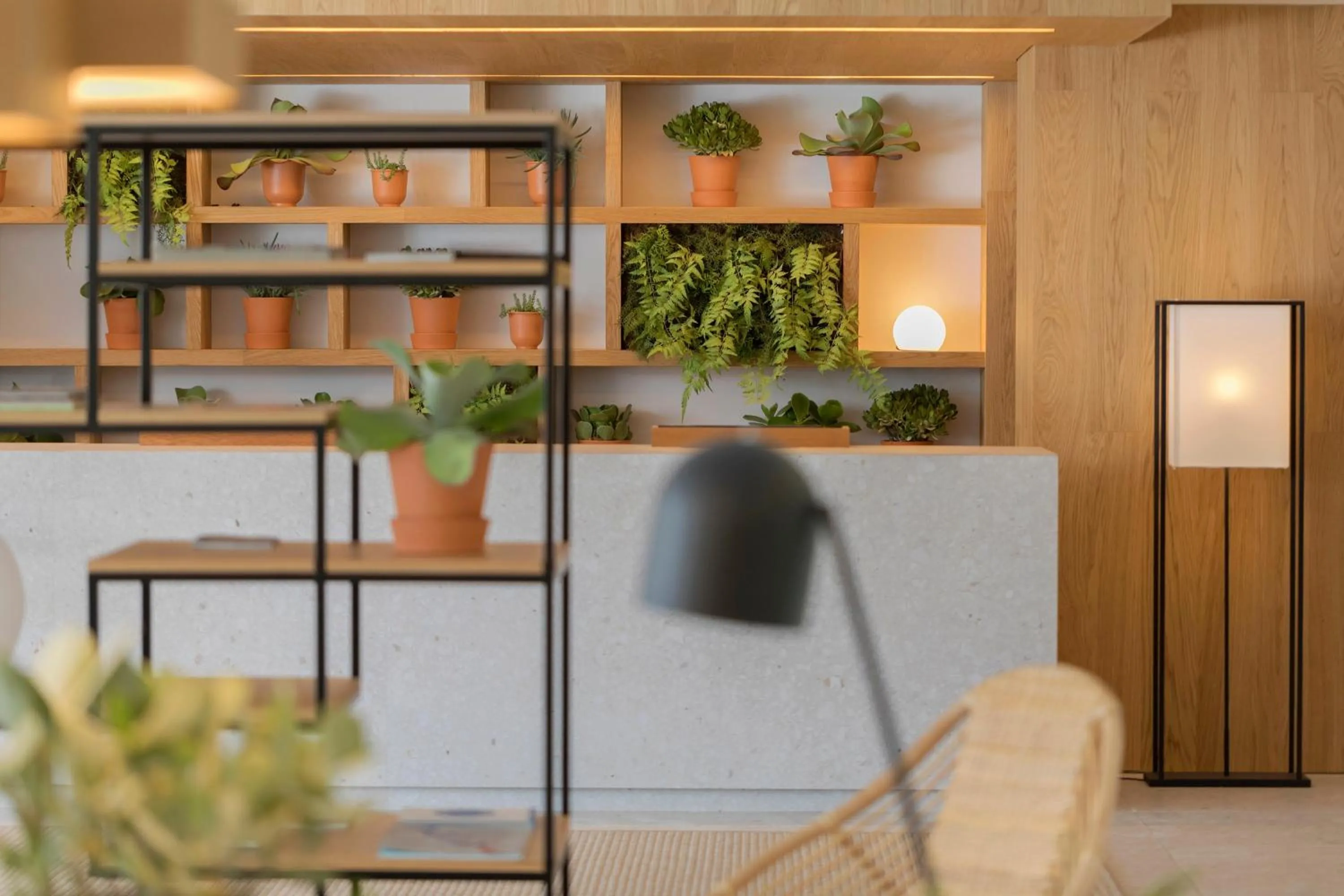 Lobby or reception in HM Ayron Park - Adults Only