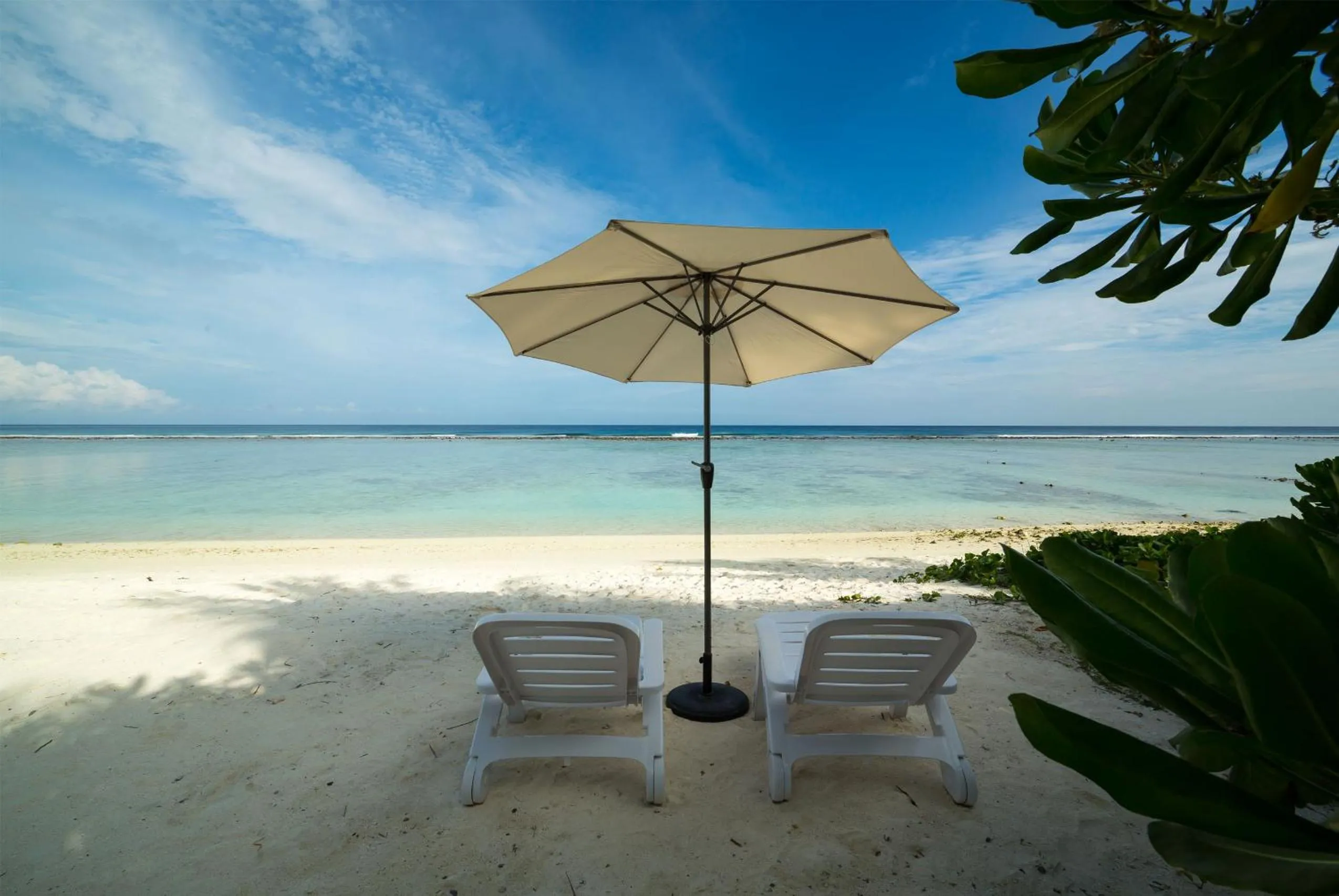 Beach in The White Harp Beach Hotel