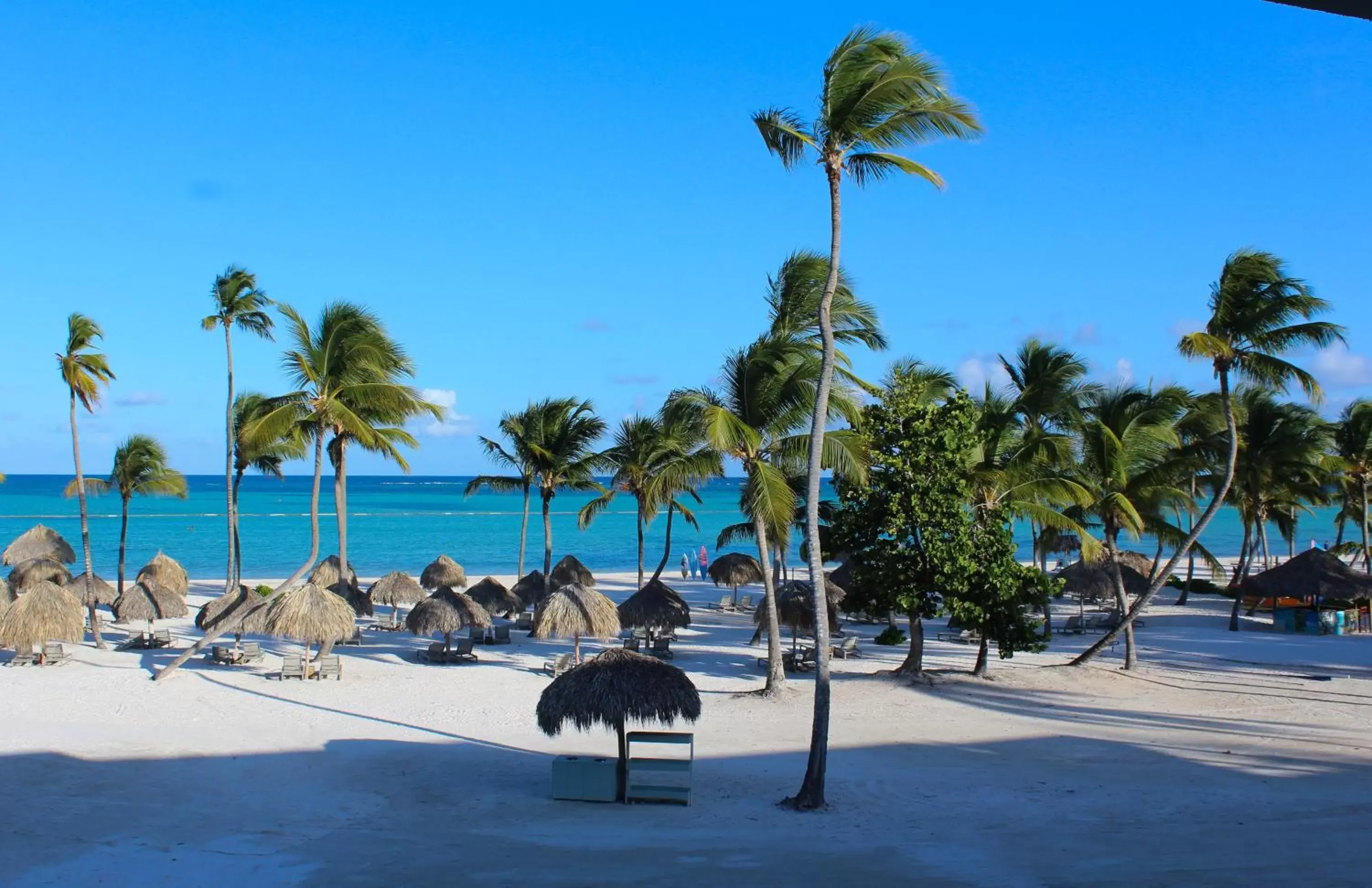 Beach in Secrets Cap Cana Resort & Spa - Adults Only