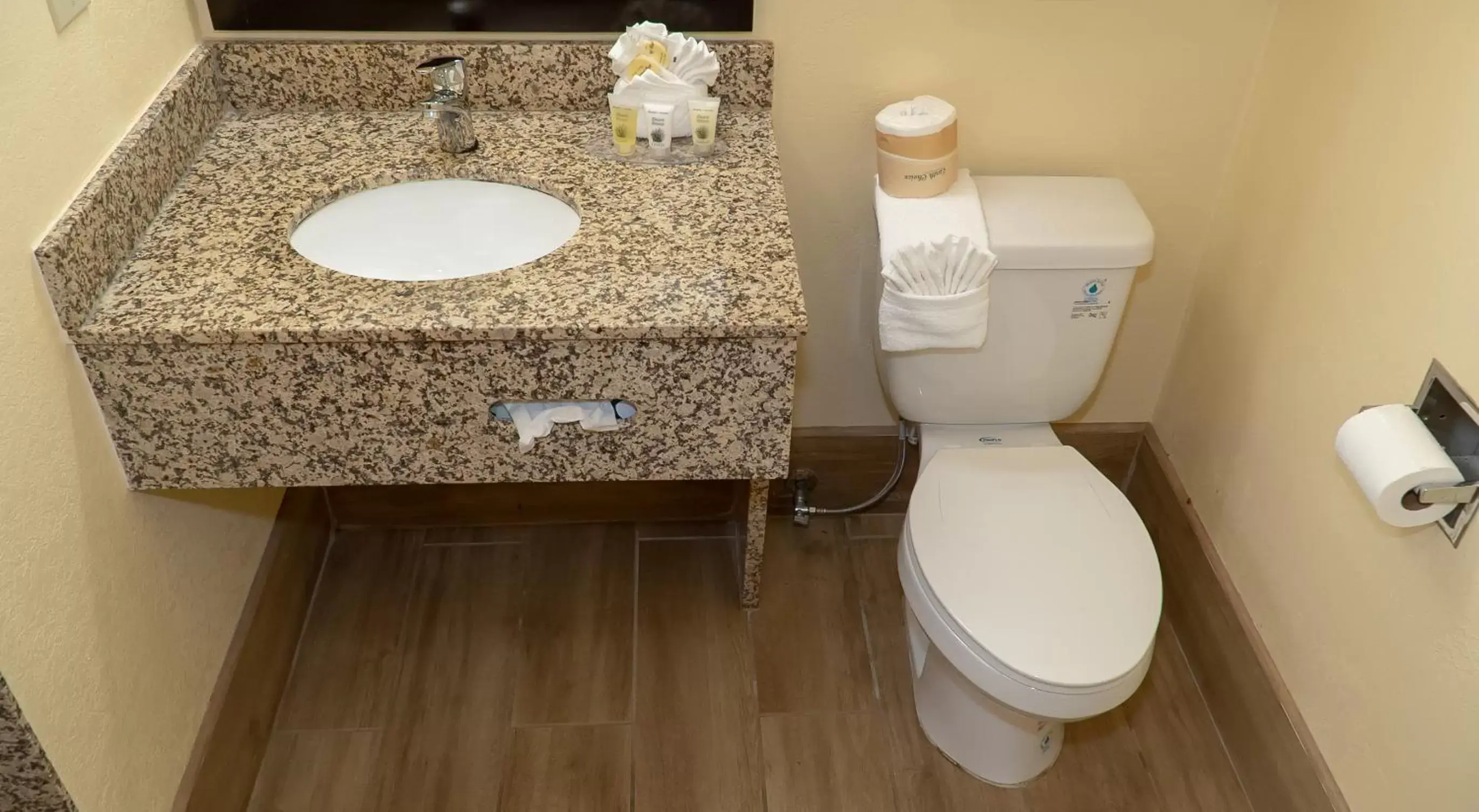 Toilet, Bathroom in Silver Surf Motel