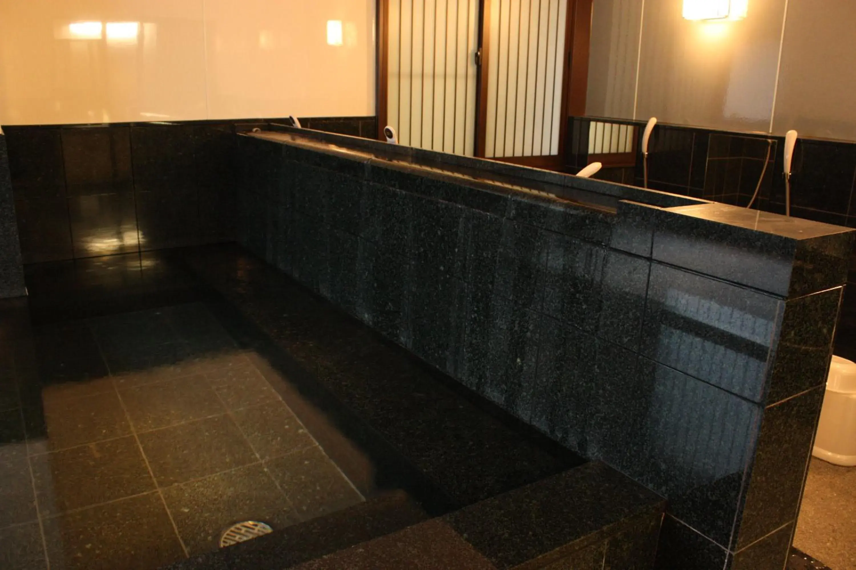 Public Bath, Swimming Pool in Ryokan Satomo