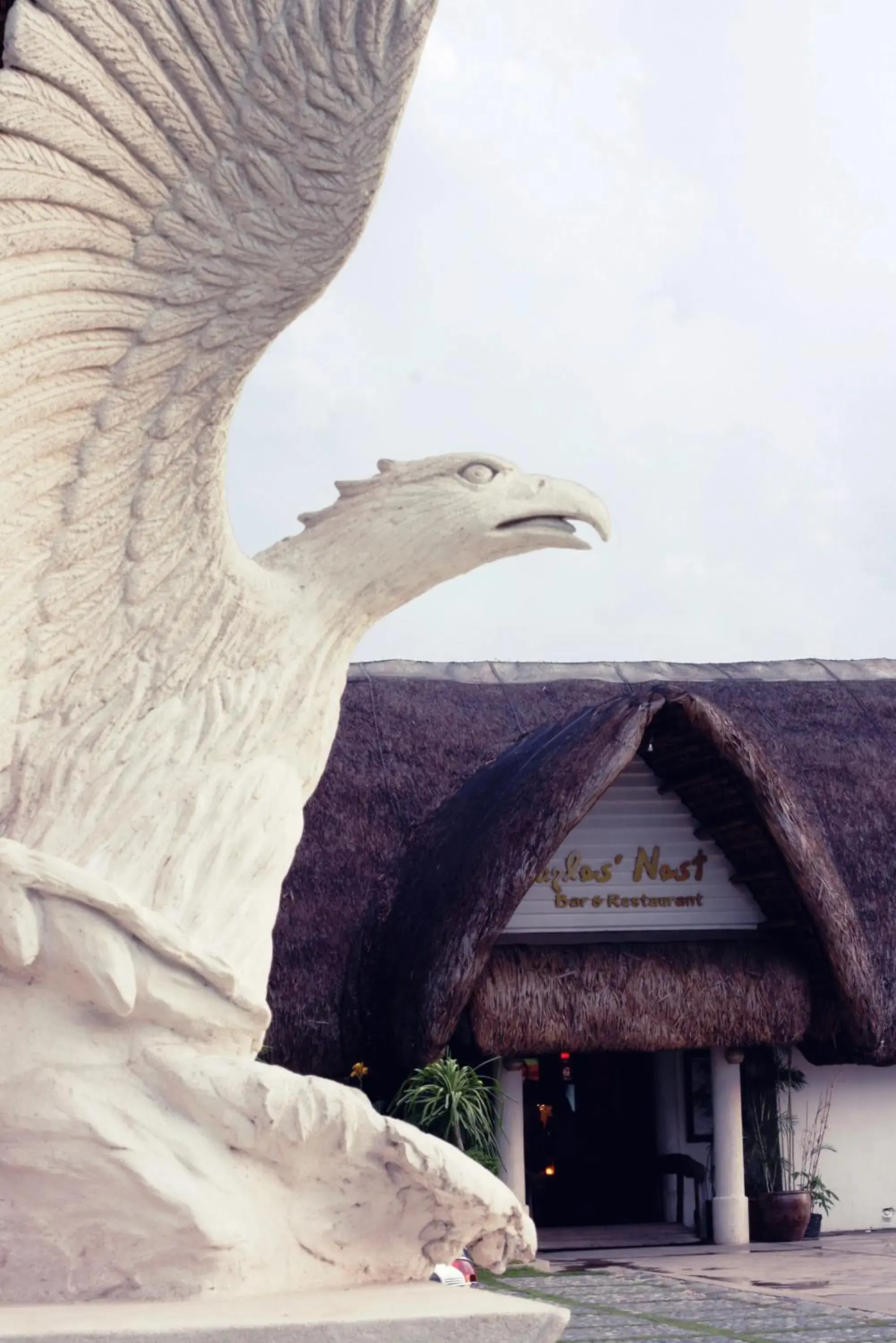 Restaurant/places to eat in Java Hotel Restaurant/places to eat in Java Hotel