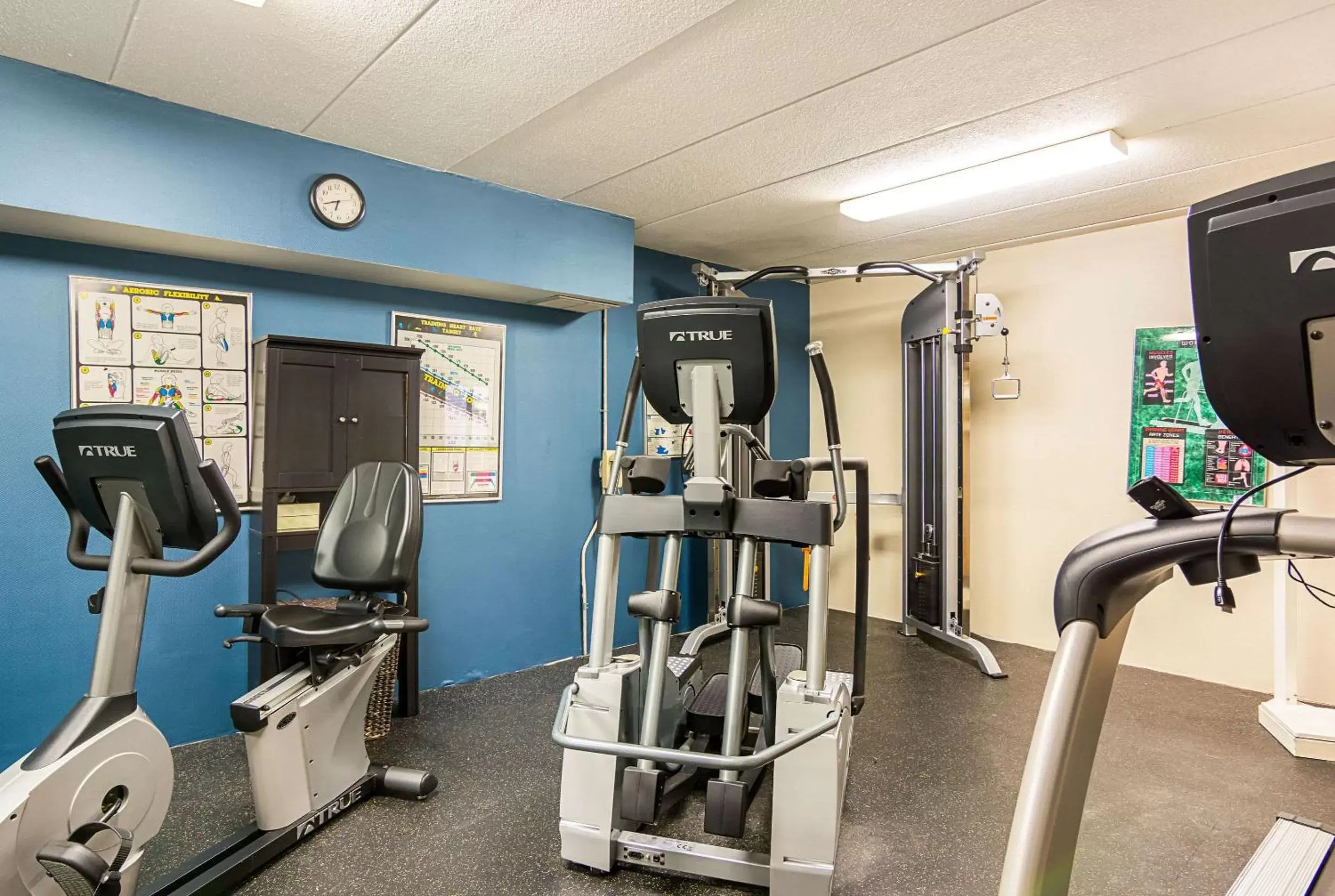 Fitness centre/facilities, Fitness Center/Facilities in Comfort Inn Herndon-Reston