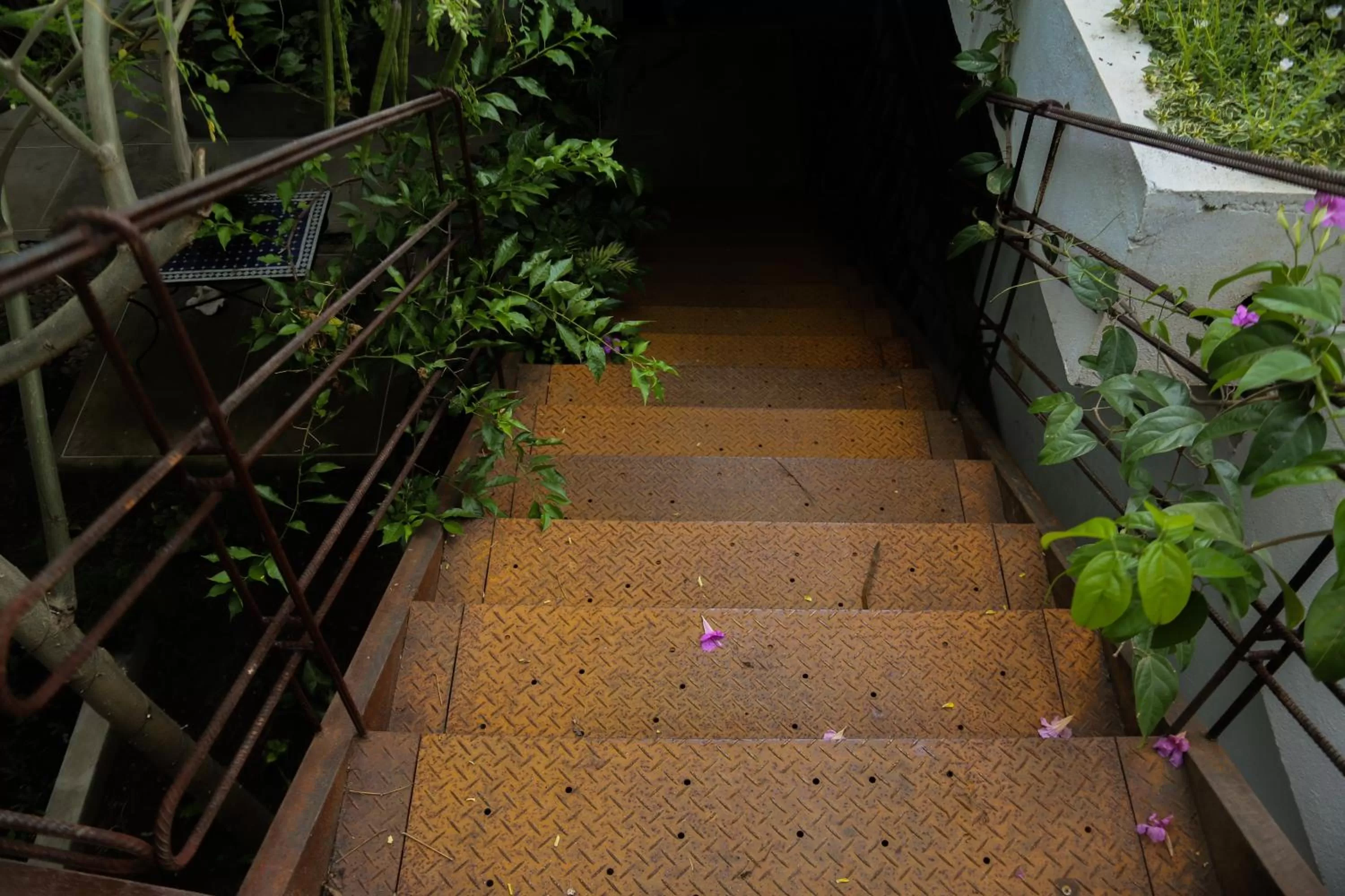 Garden view in Hotel Boutique Casa Rosalía