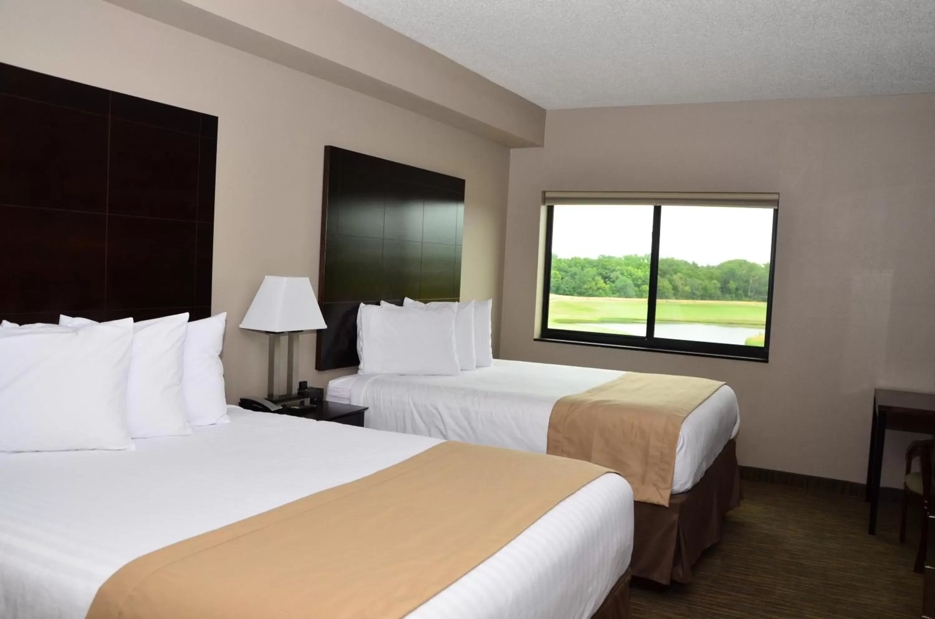 Superior Queen Room with Two Queen Beds in Qube Hotel - Polk City
