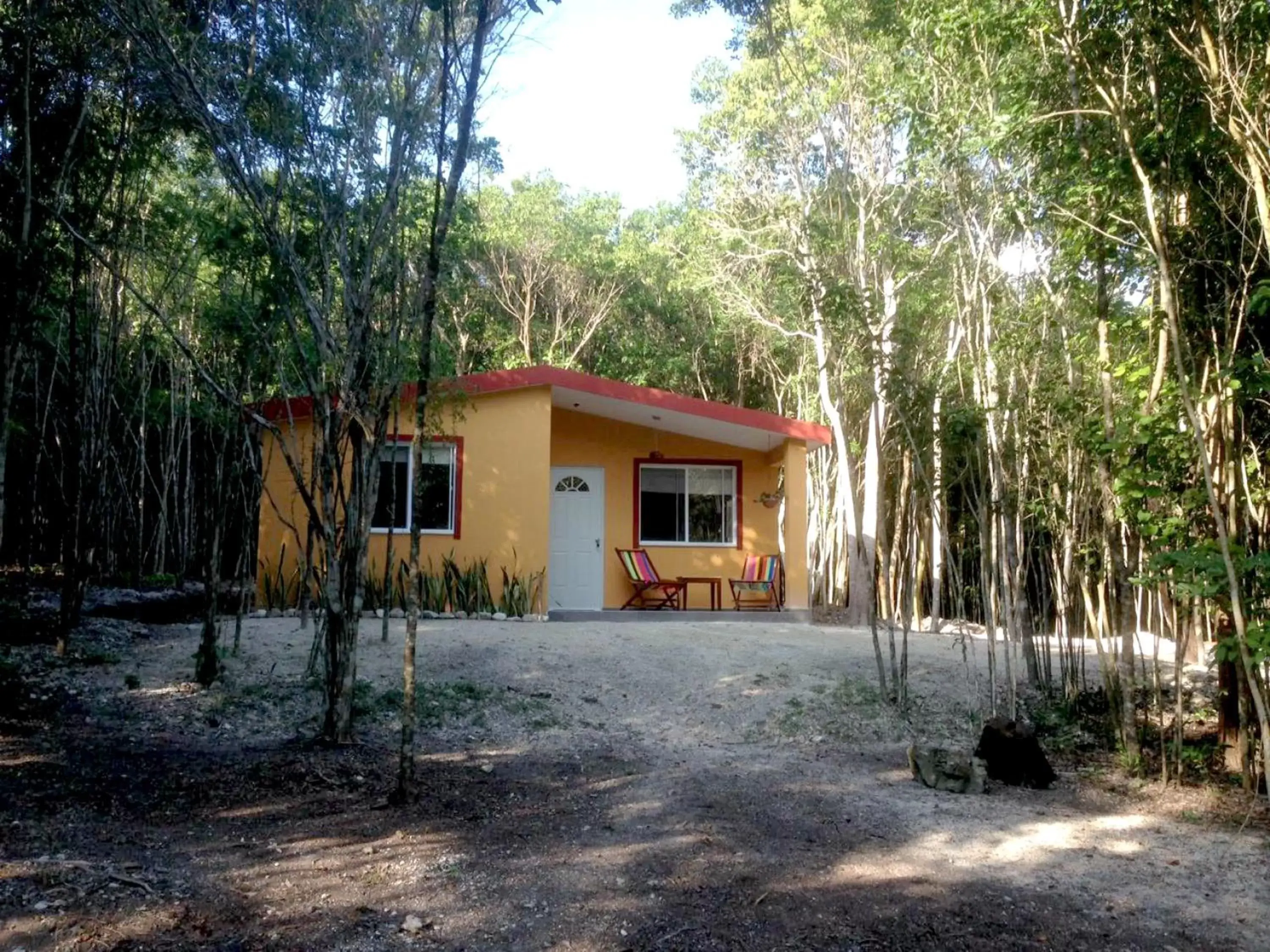 Natural landscape, Garden in Casa Kaan Calakmul