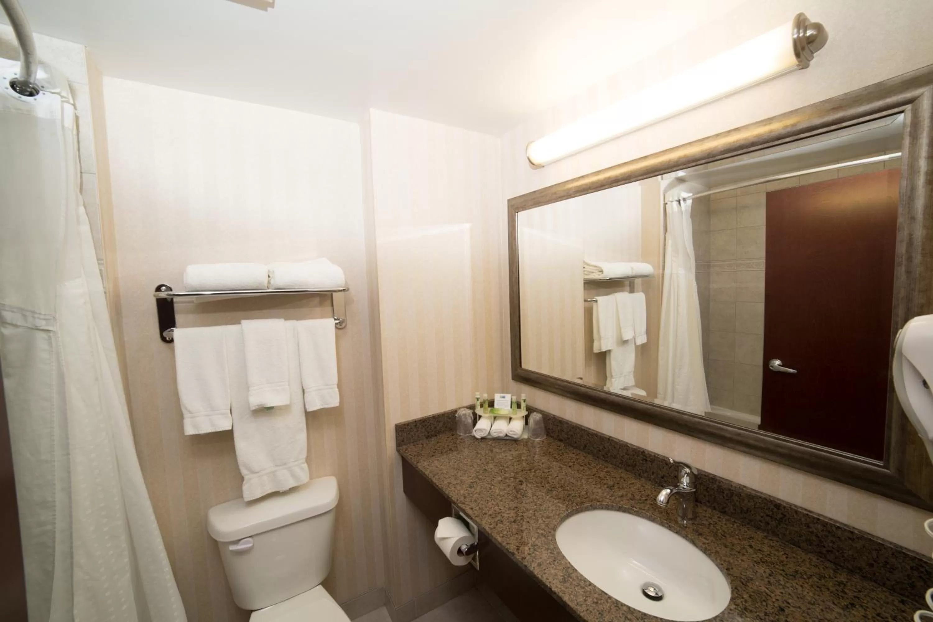 Bathroom in Holiday Inn Express & Suites Whitecourt by IHG
