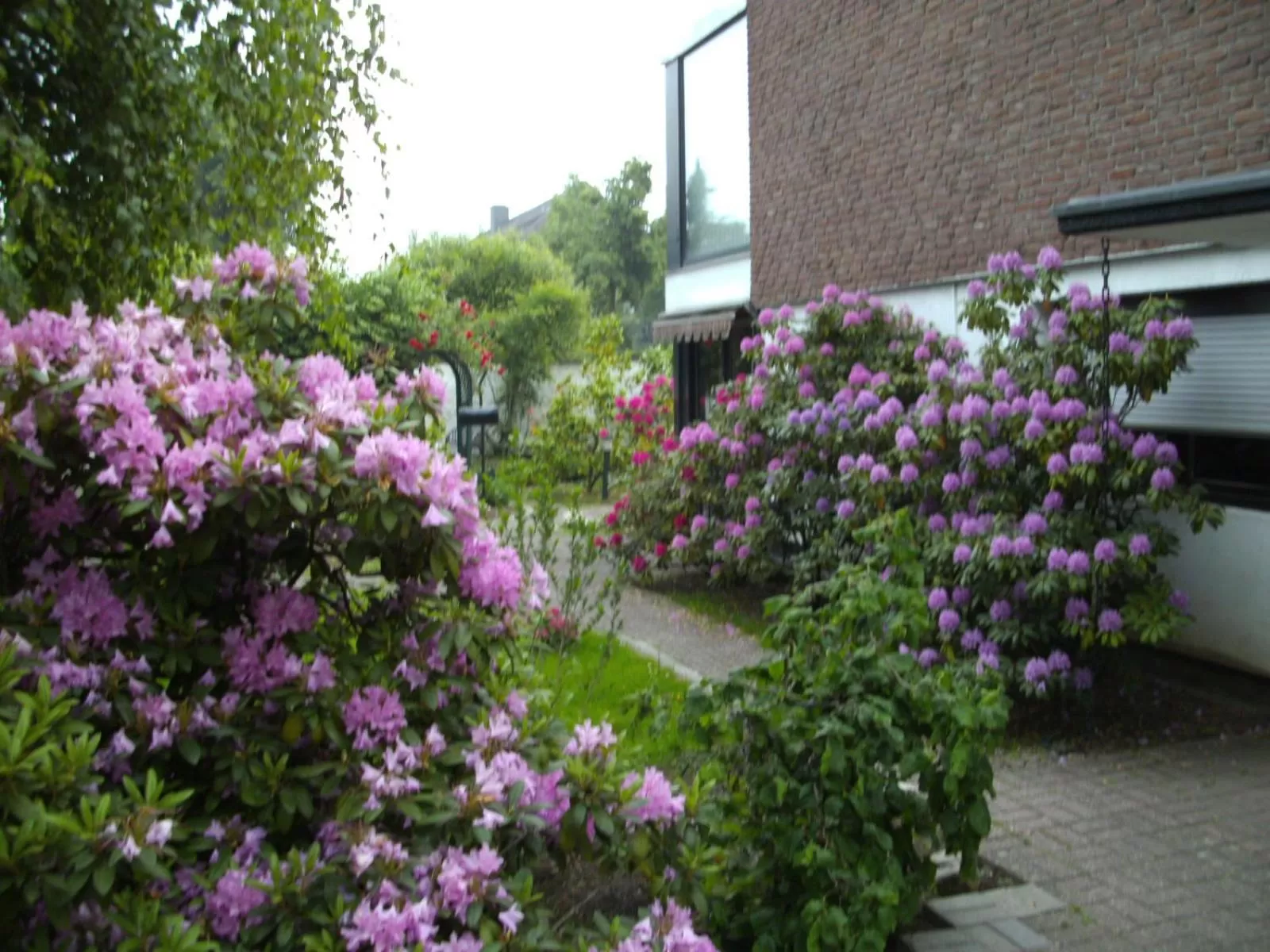 Garden view in Am Hallenbad Hotel garni