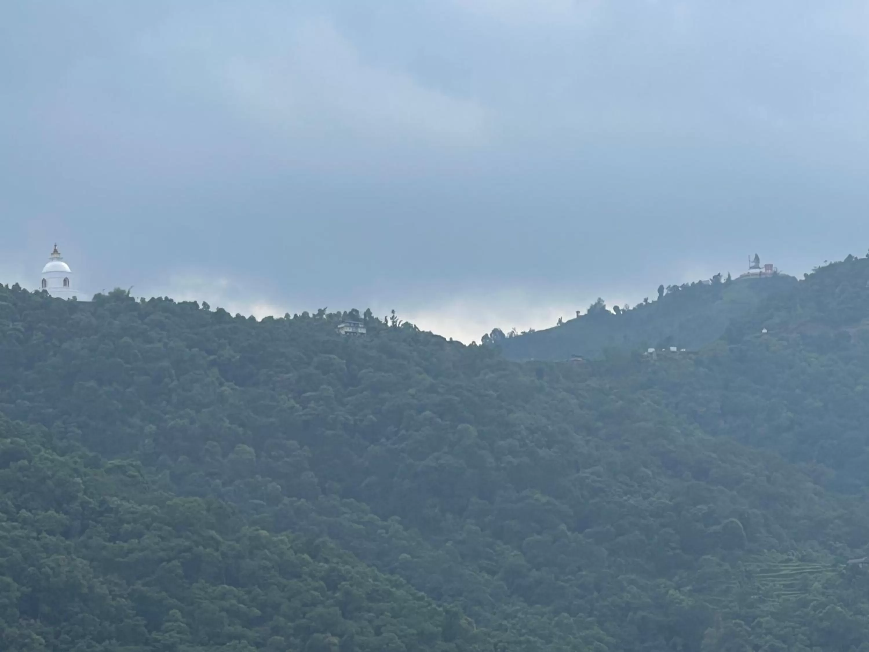 Natural landscape in Hotel Murano