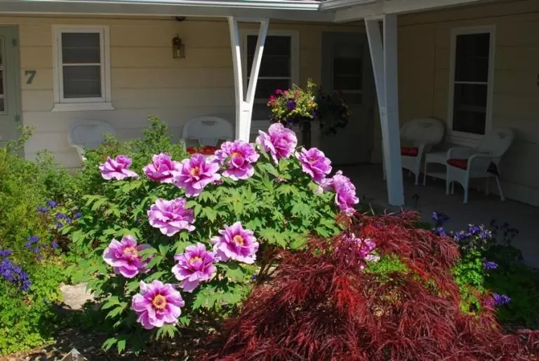Facade/entrance in Peninsula Park-View Resort