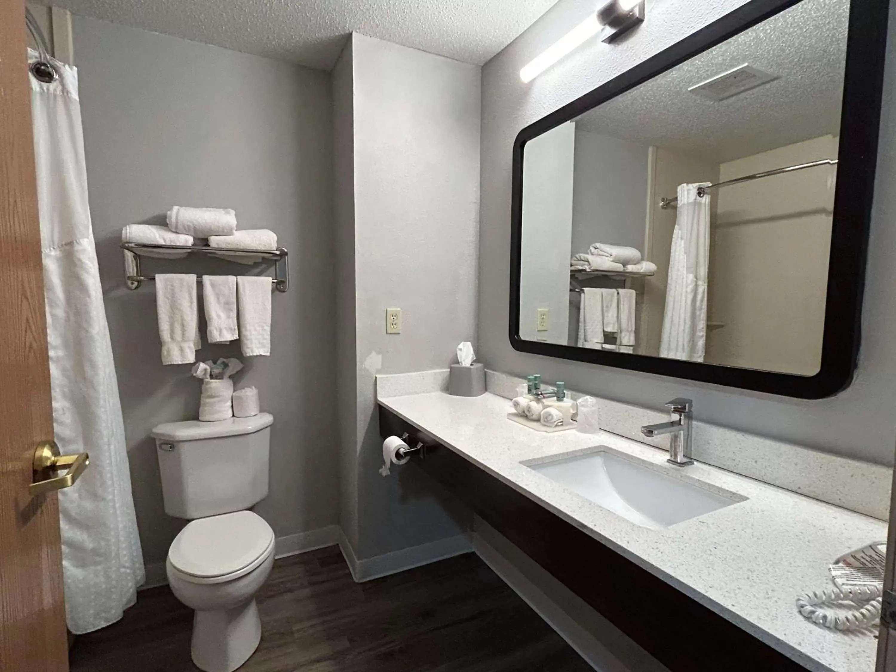 Bathroom in SureStay Plus by Best Western Fremont I-69