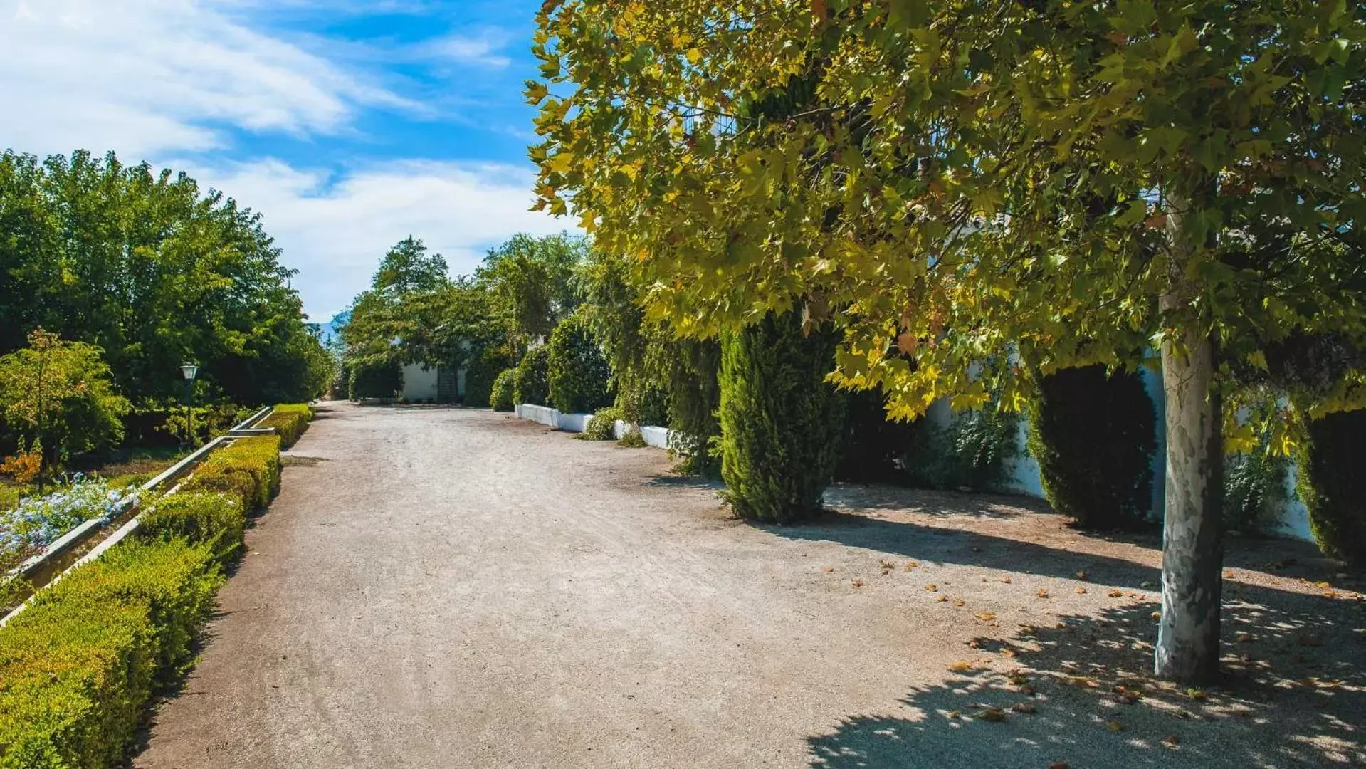 Natural landscape in Hotel Boutique Molino del Arco