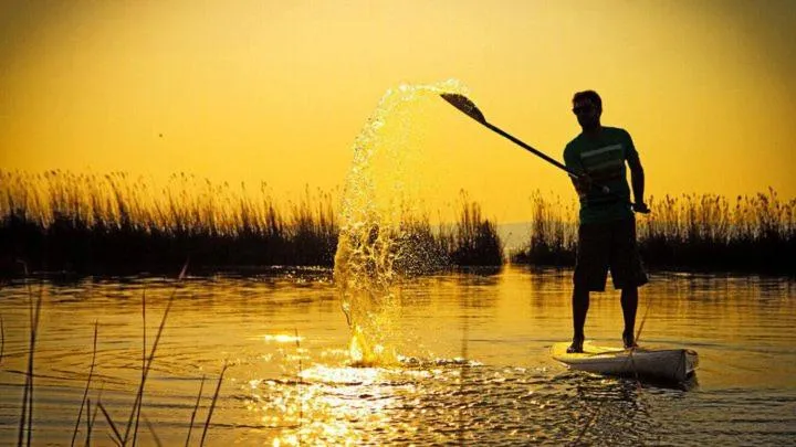 Natural landscape in Seewirt & Haus Attila