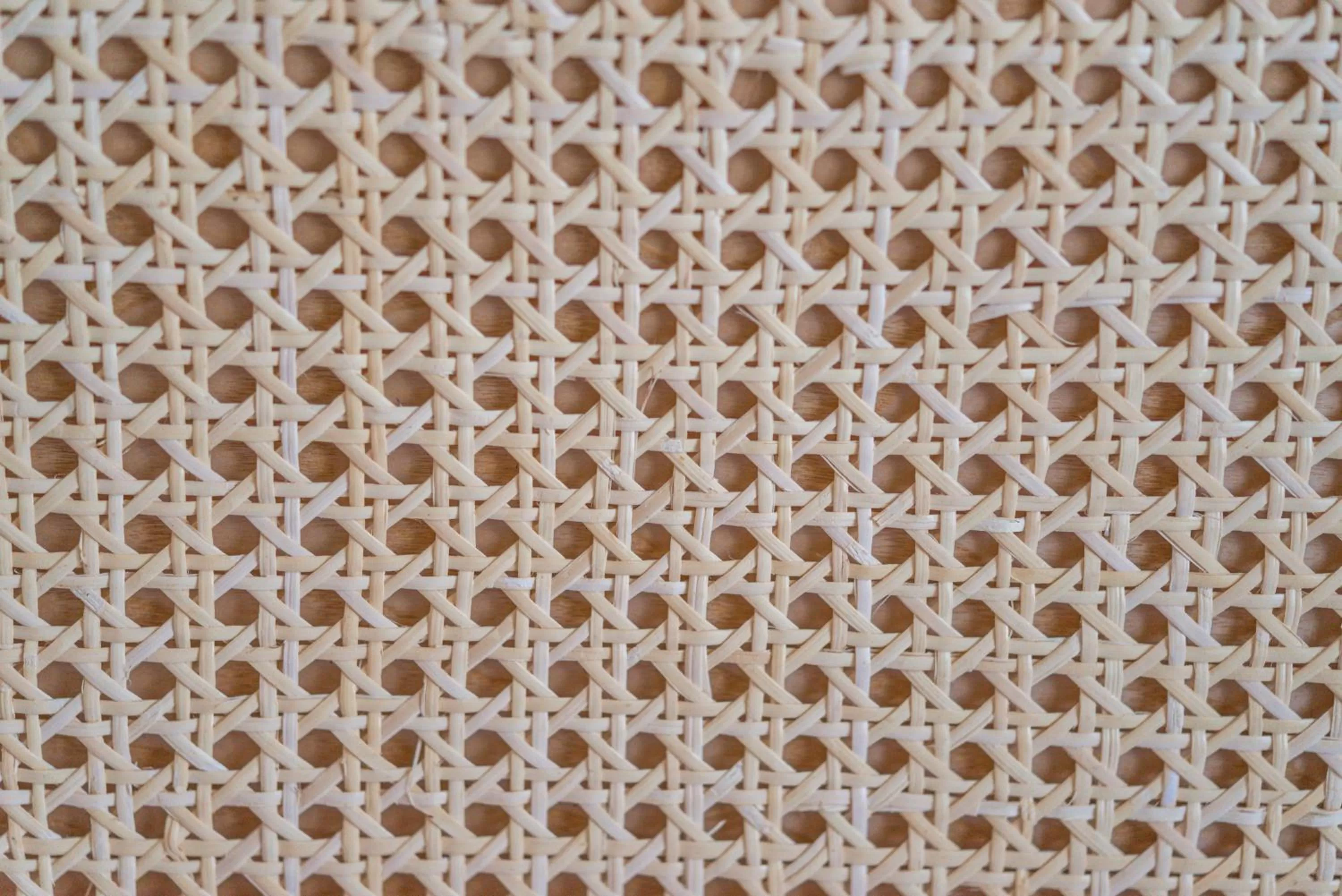 Decorative detail in Nou Baleares