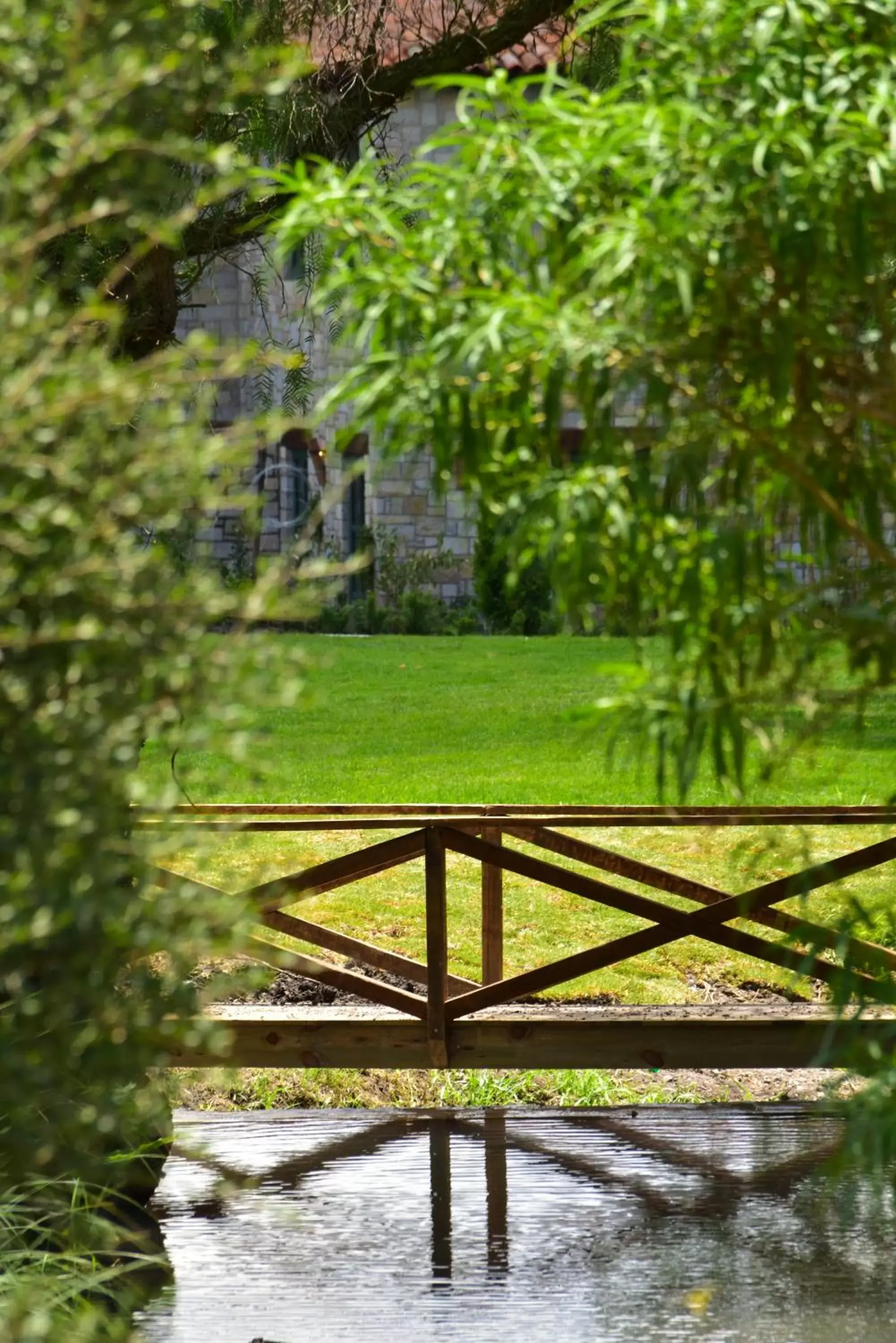 Garden in Viñedos San Lucas