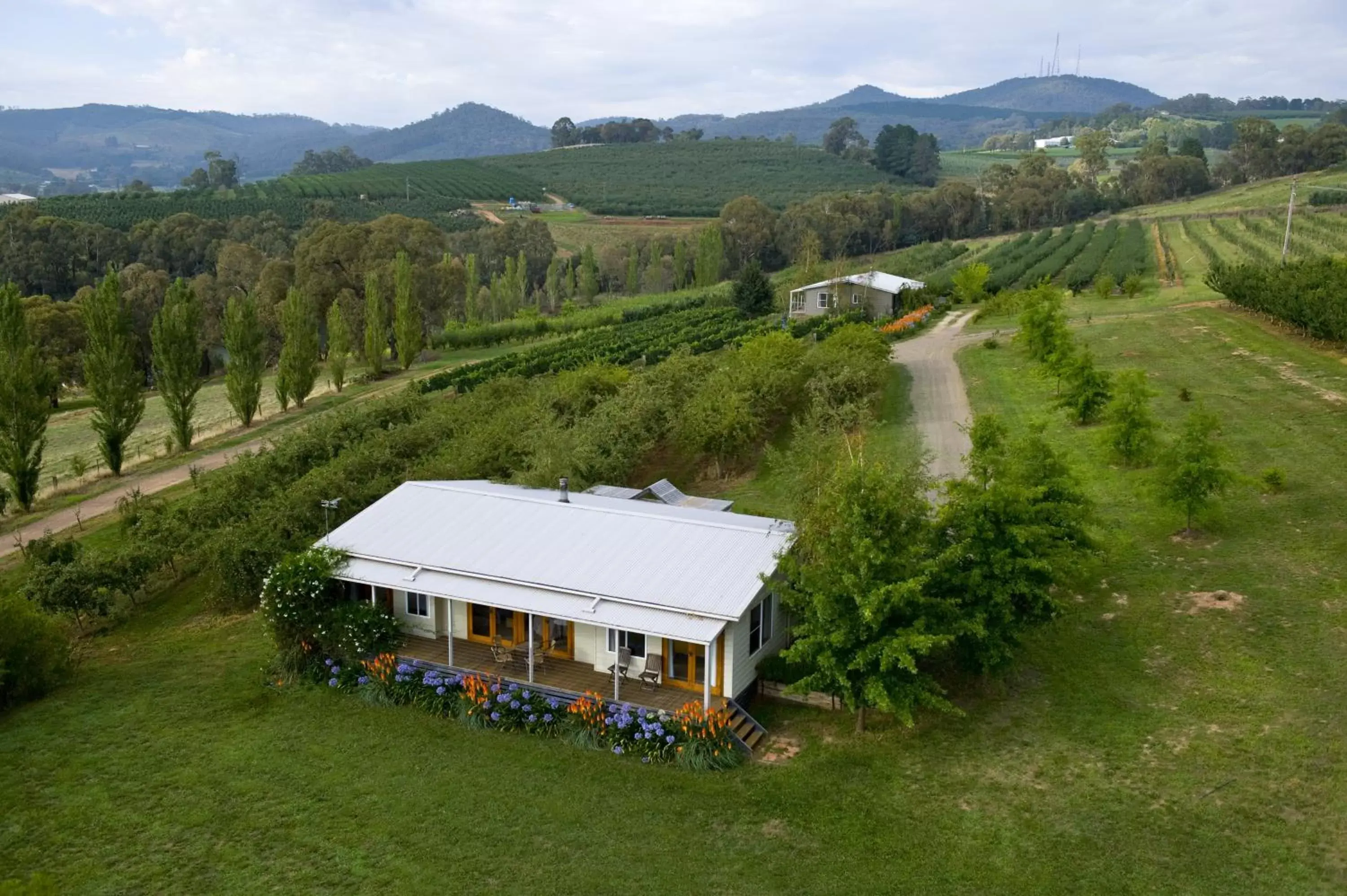 Day, Bird's-eye View in Borrodell Vineyard