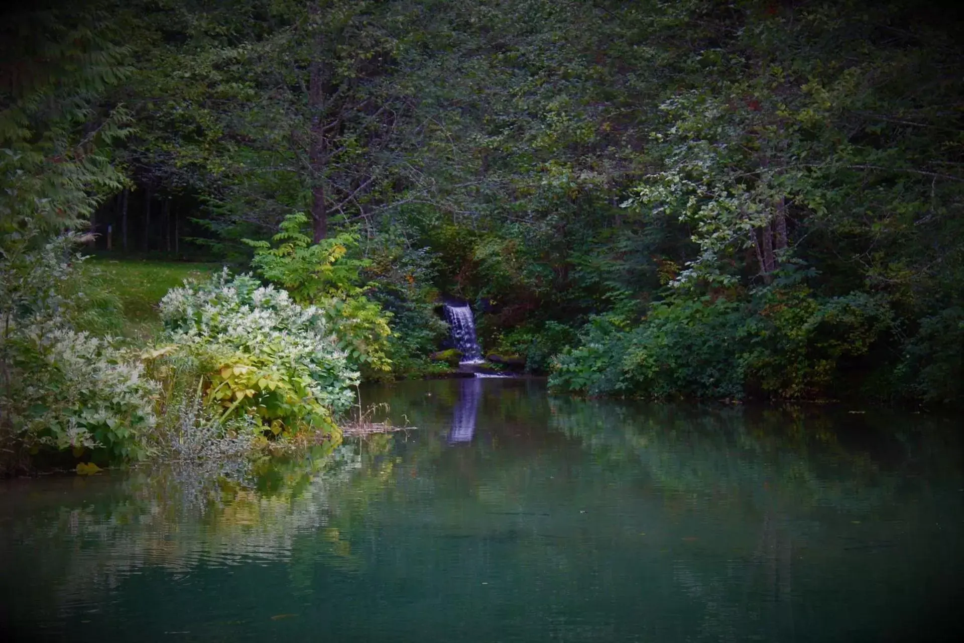 Natural landscape in Alexander's Lodge