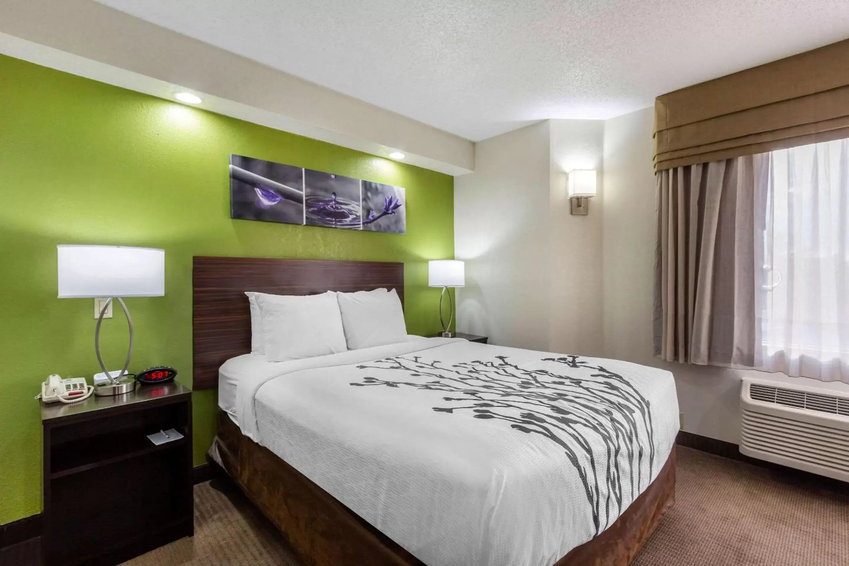 Photo of the whole room, Bed in Sleep Inn near Busch Gardens - USF