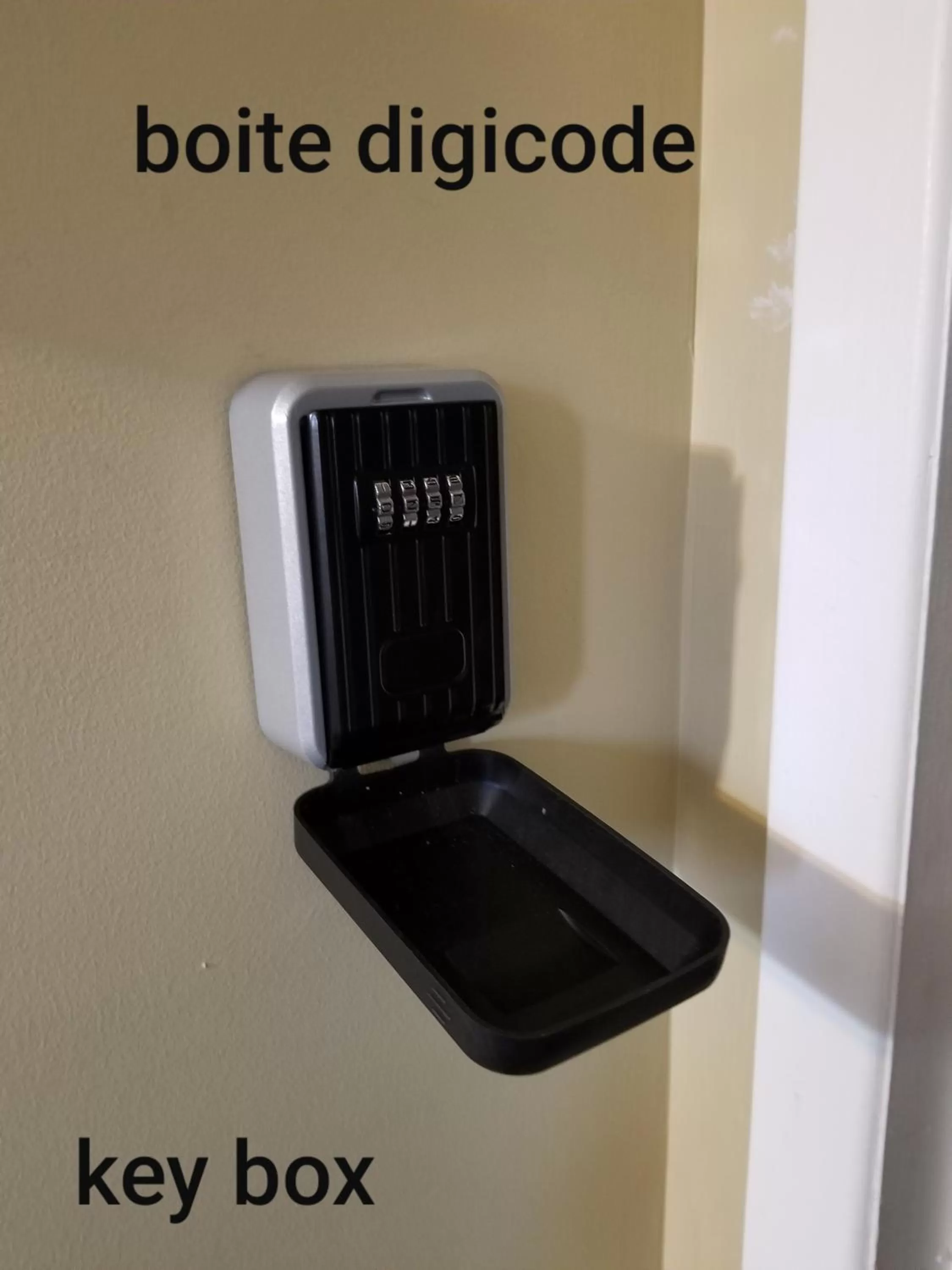 Other in Motel Shantik