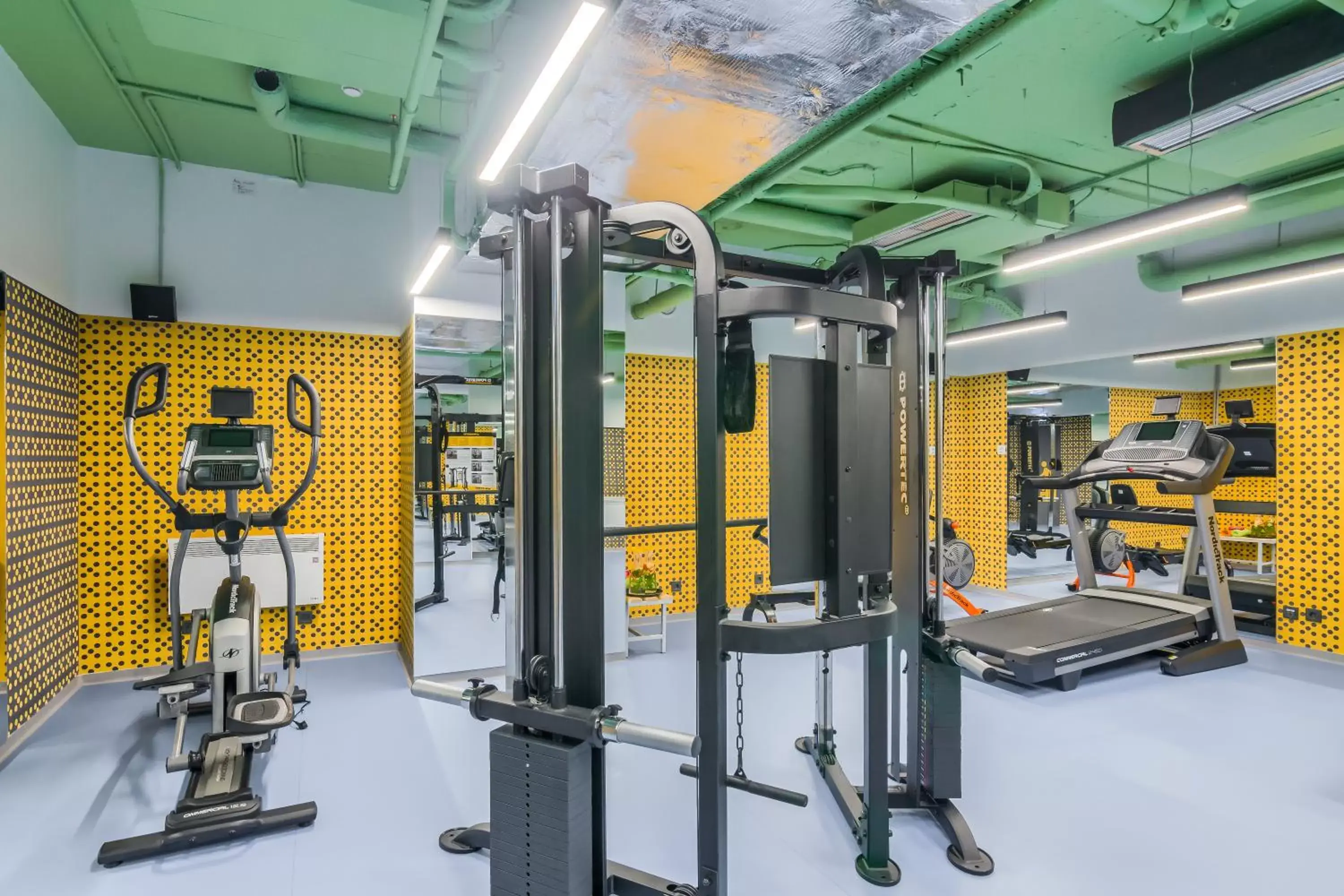 Fitness centre/facilities, Fitness Center/Facilities in ibis Styles Bucharest City Center