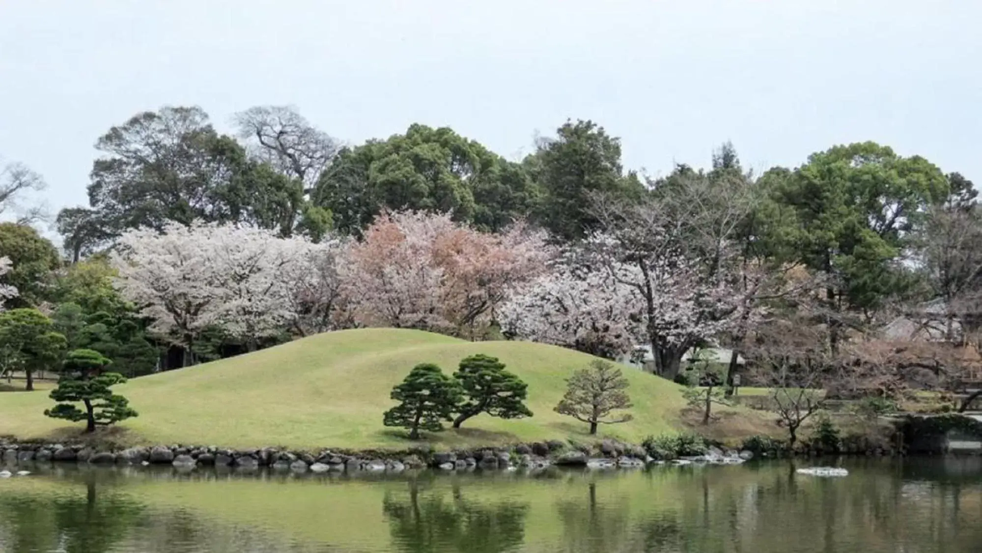 Natural landscape in Toyoko Inn Kumamoto-jyo Toricho Suji