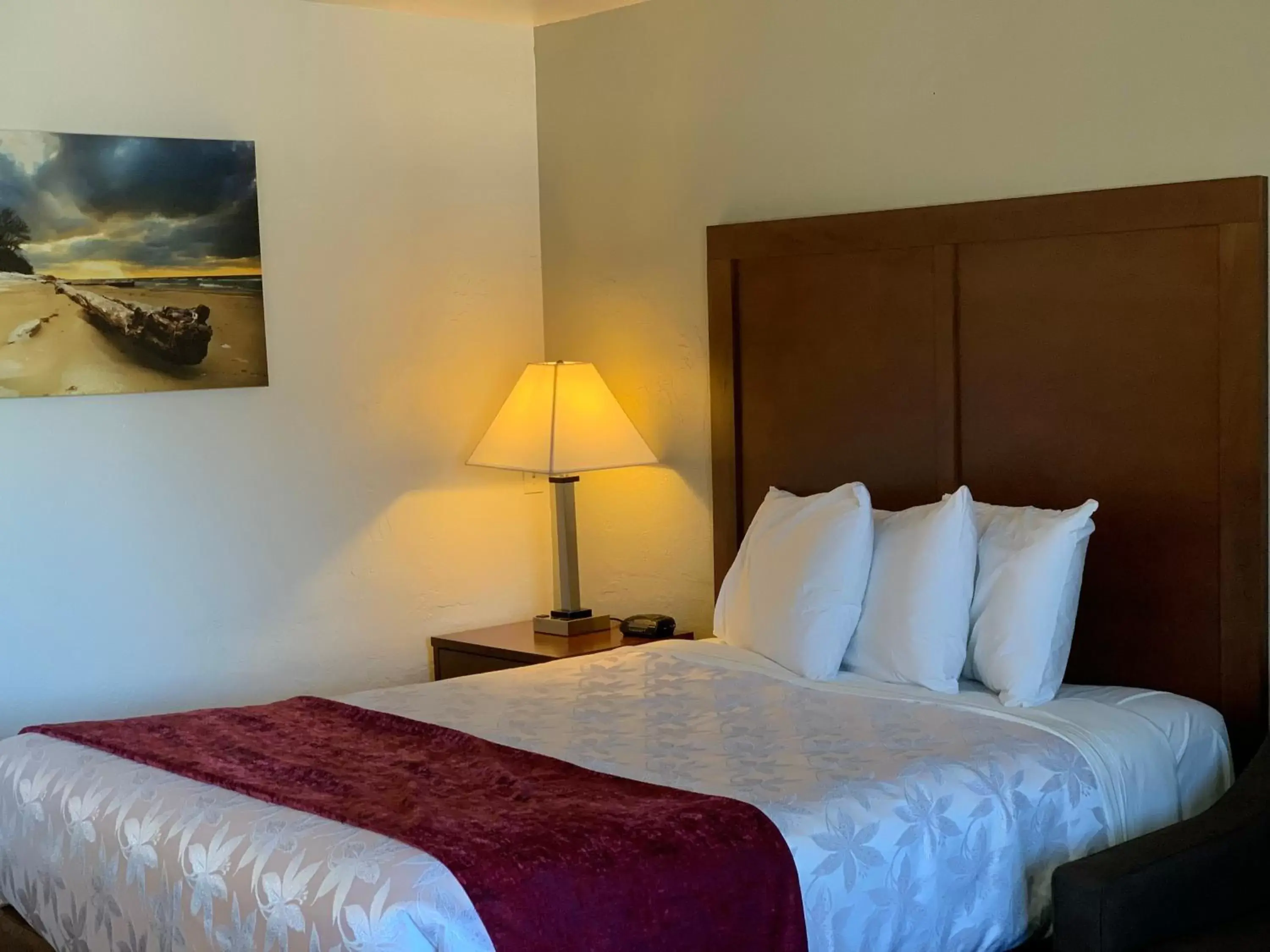 Bed in Red Carpet Inn Medford Bed in Red Carpet Inn Medford