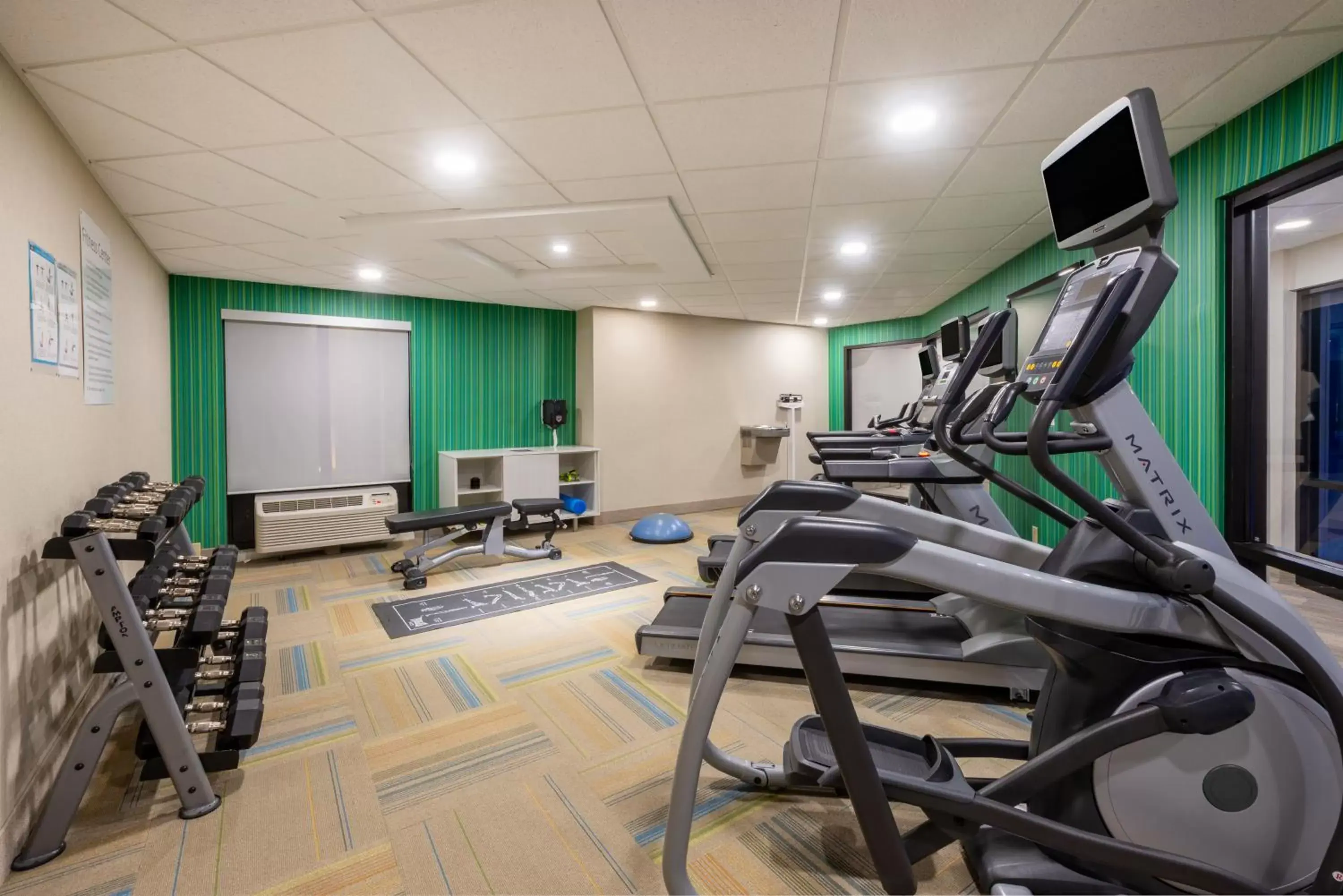 Fitness centre/facilities, Fitness Center/Facilities in Holiday Inn Express Hotel & Suites Erie - North East, an IHG Hotel