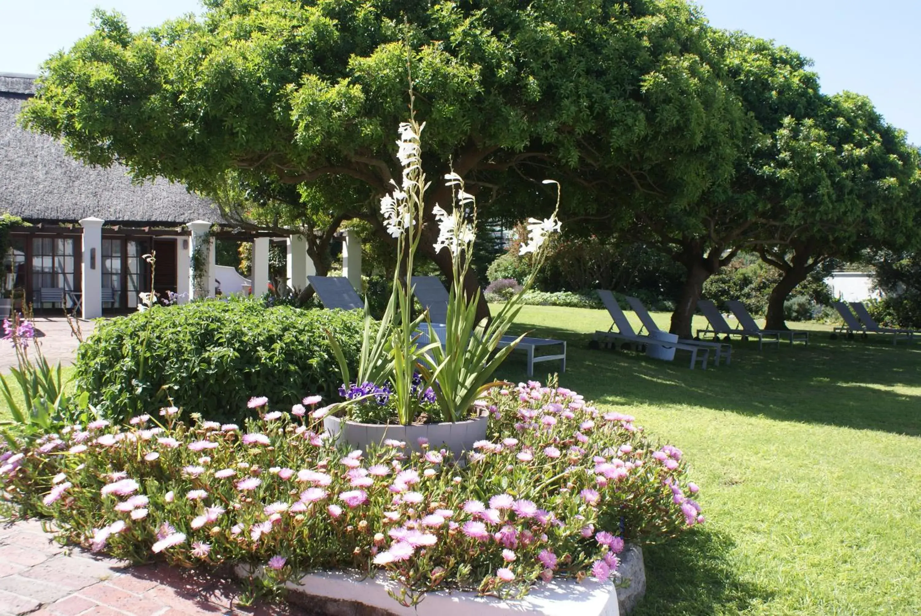 Garden in Whale Rock Luxury Lodge