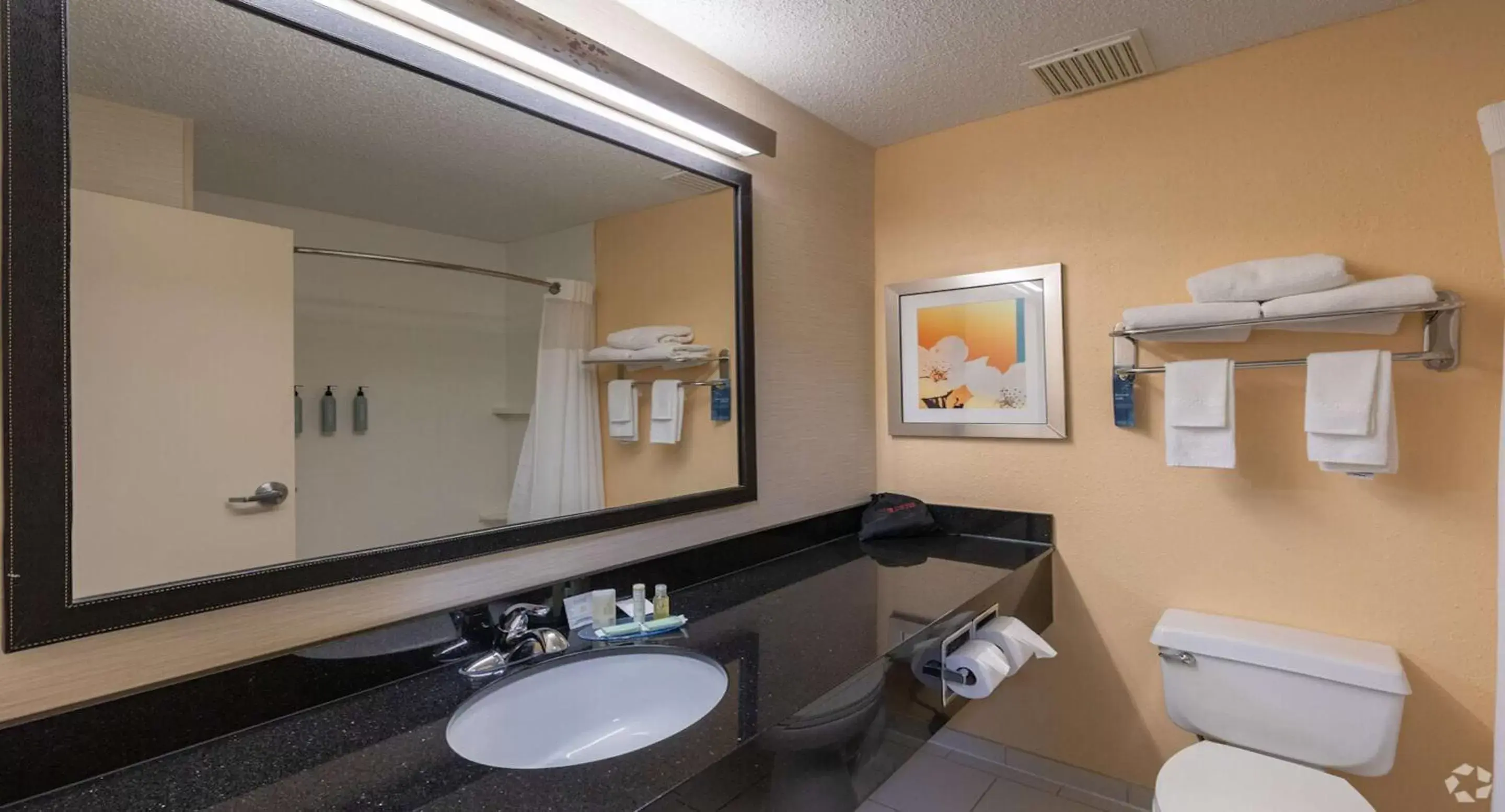 Bathroom in SureStay by Best Western Bryan College Station