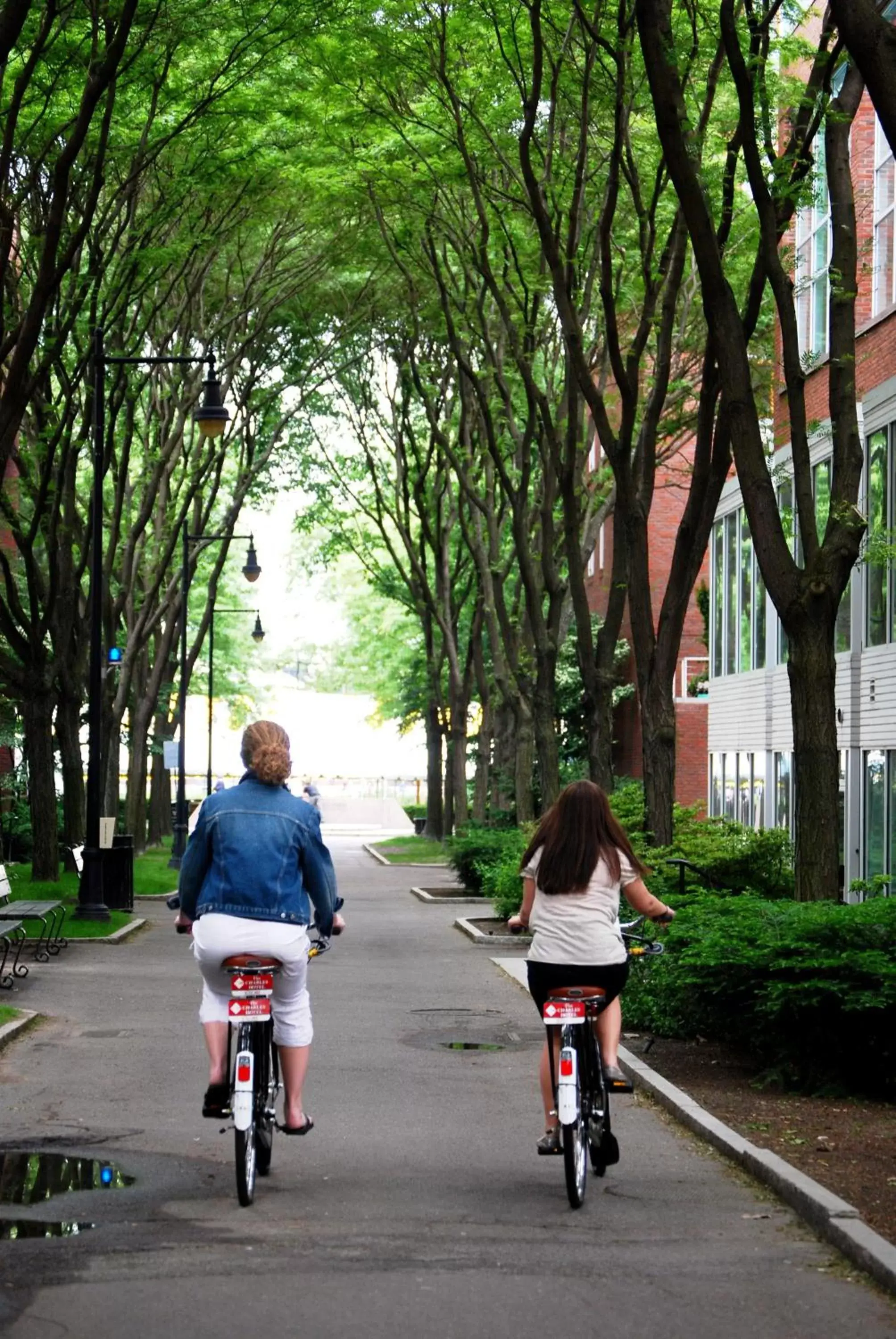 Area and facilities, Biking in The Charles Hotel in Harvard Square