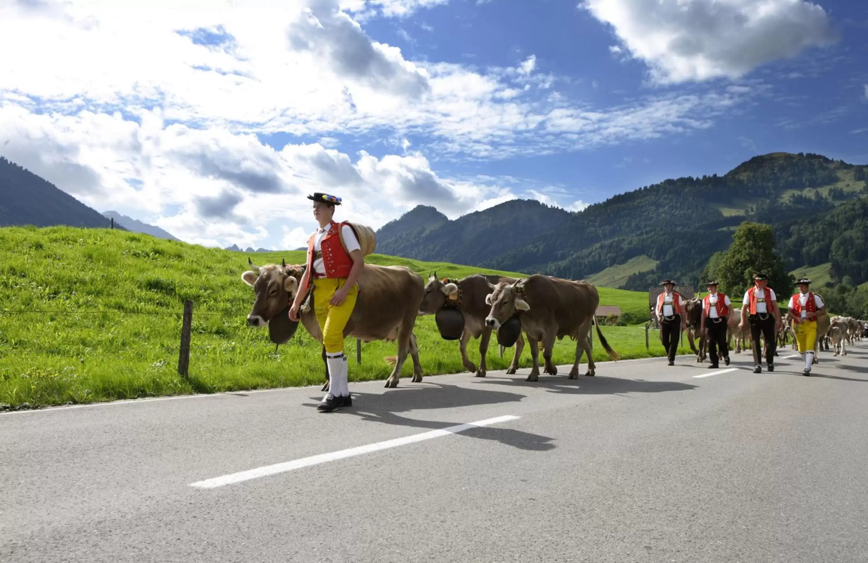 Nearby landmark, Horseback Riding in Hotel Landhaus Säntis Herisau