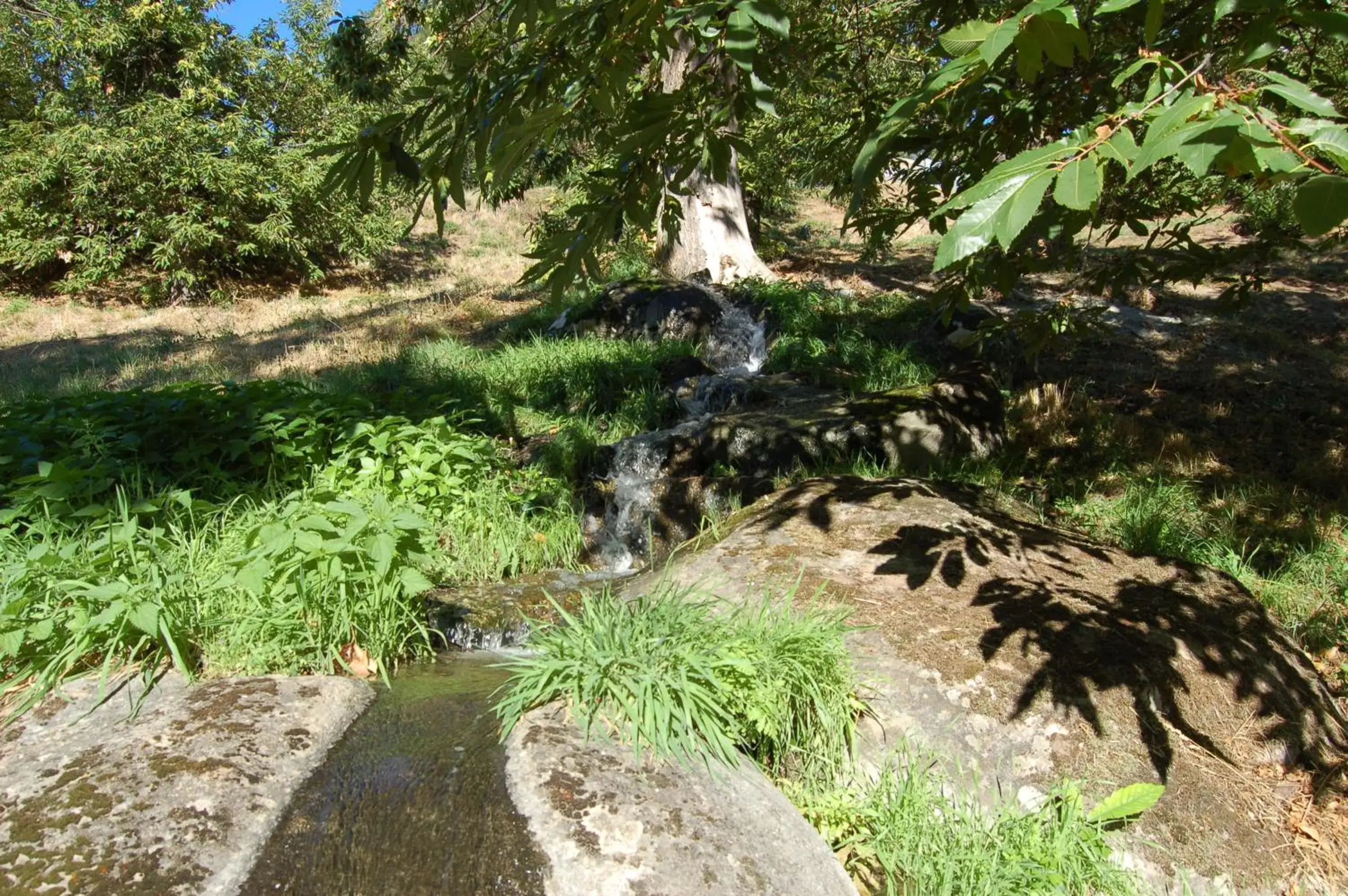 Garden in Balletti Park Hotel