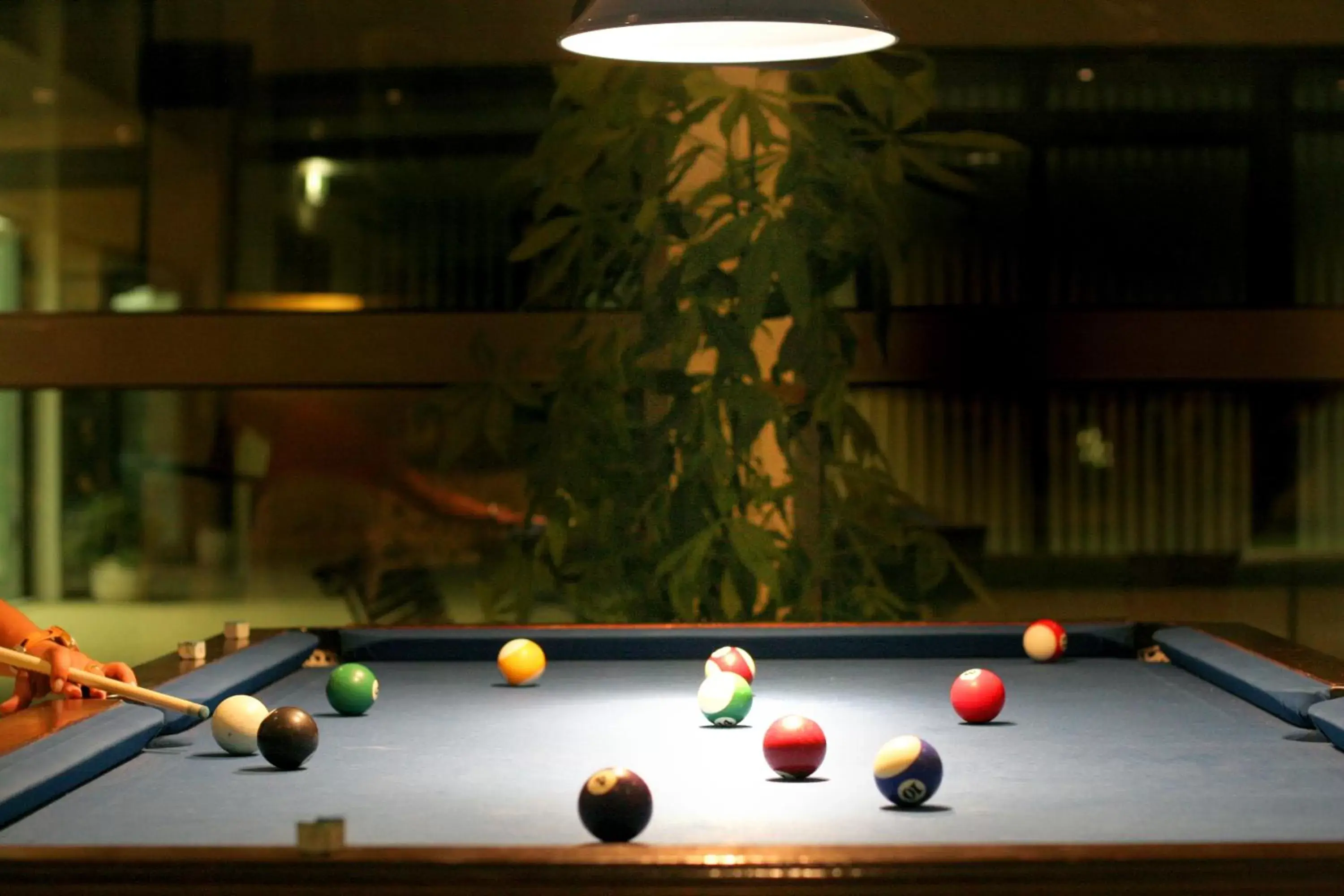 Activities, Billiards in VILA PARK Nature & Business Hotel