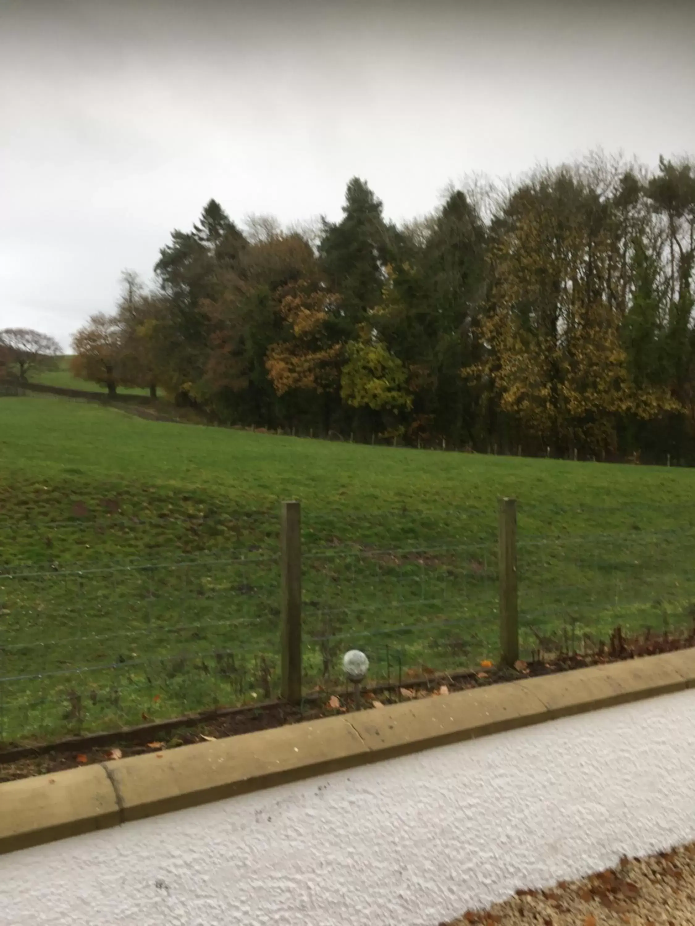 Natural landscape in Retreat at The Knowe Auchincruive Estate