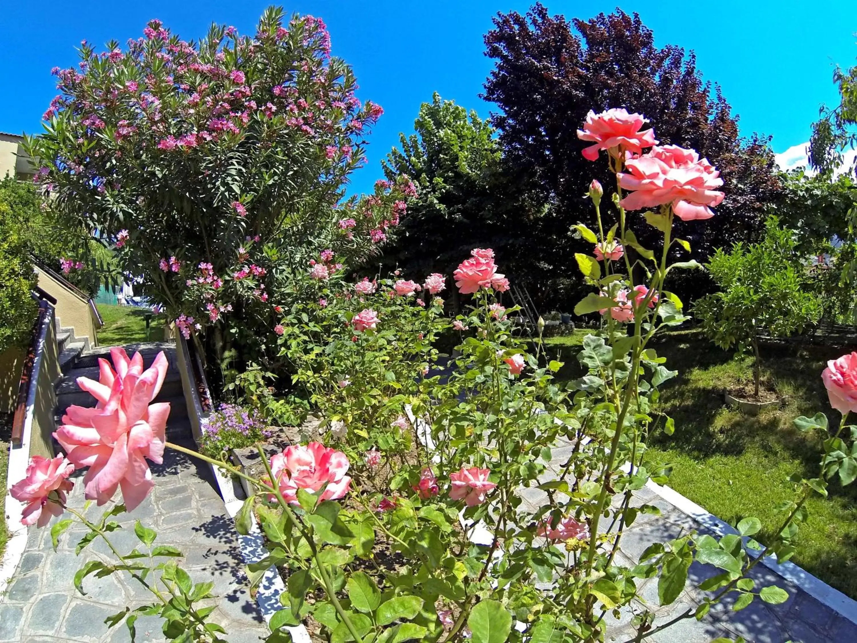 Garden in Macedon