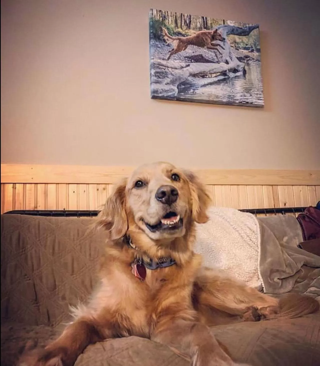 Living room, Pets in Twisp River Suites