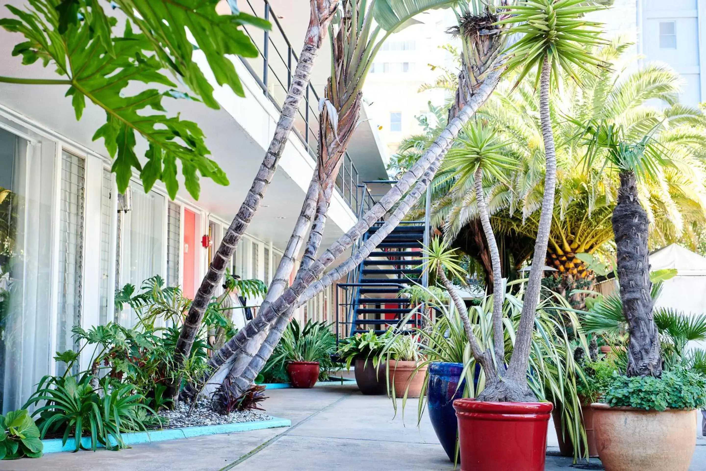 Patio in Phoenix Hotel