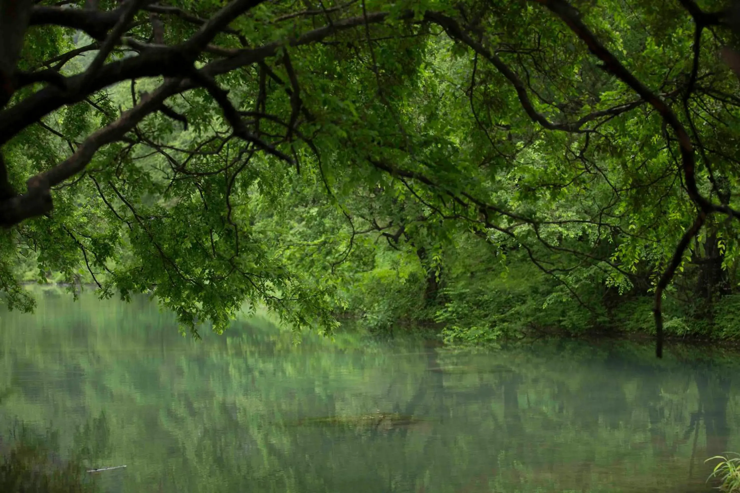 Nearby landmark, Natural Landscape in Al Baleed Resort Salalah by Anantara