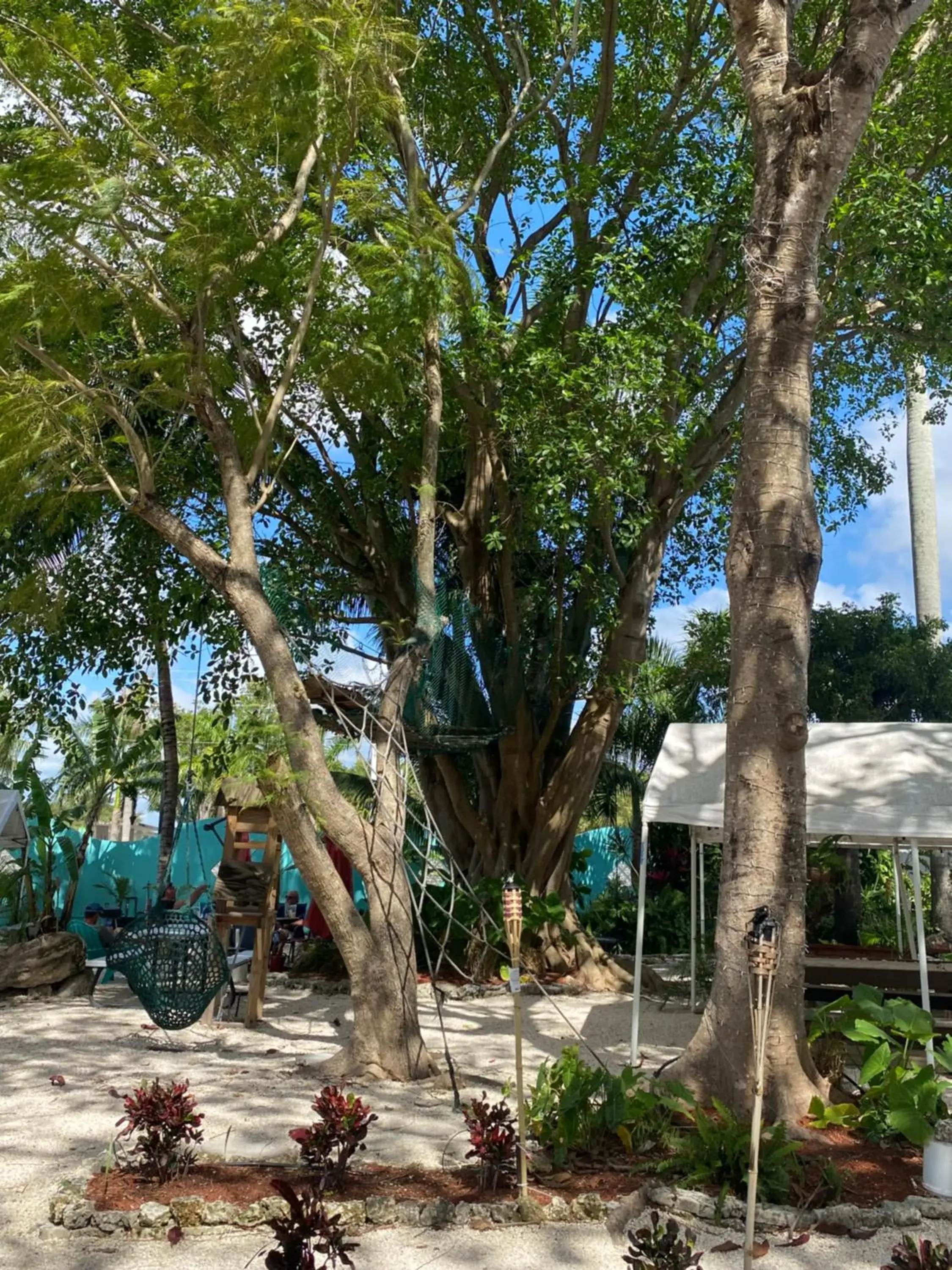 Children play ground in Hoosville Hostel (Formerly The Everglades Hostel)