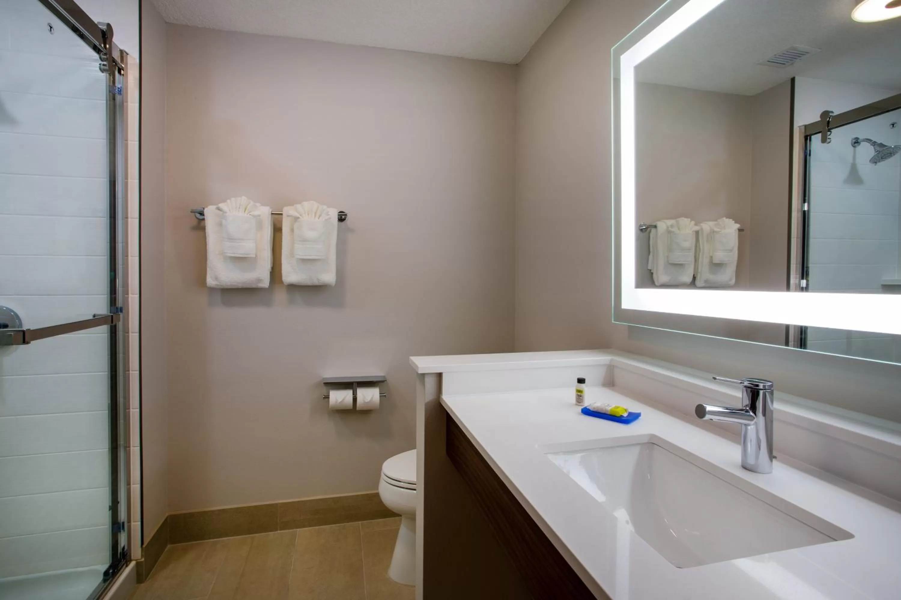 Bathroom in Holiday Inn Express & Suites - Deland South by IHG