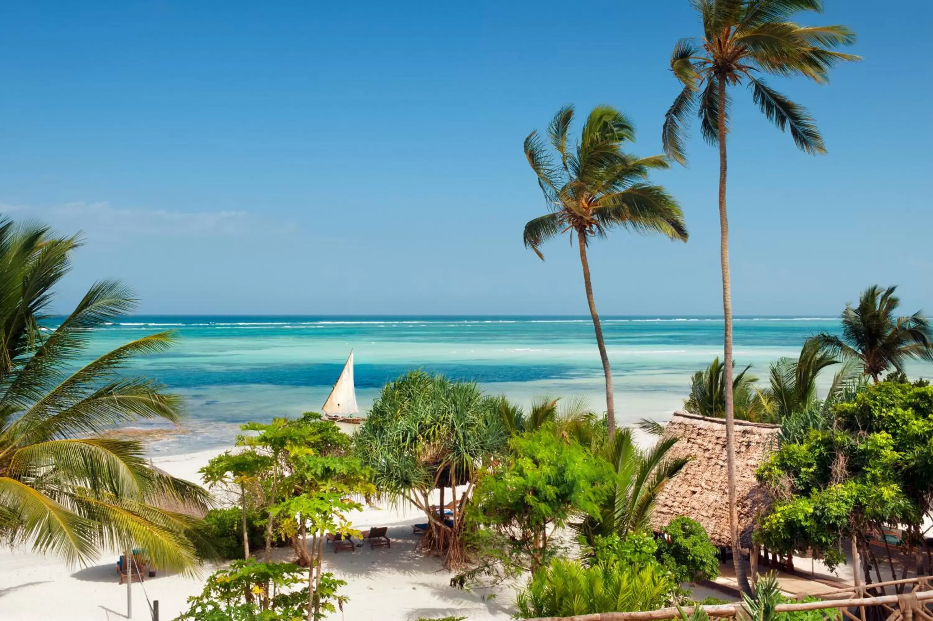 Beach in Melia Zanzibar