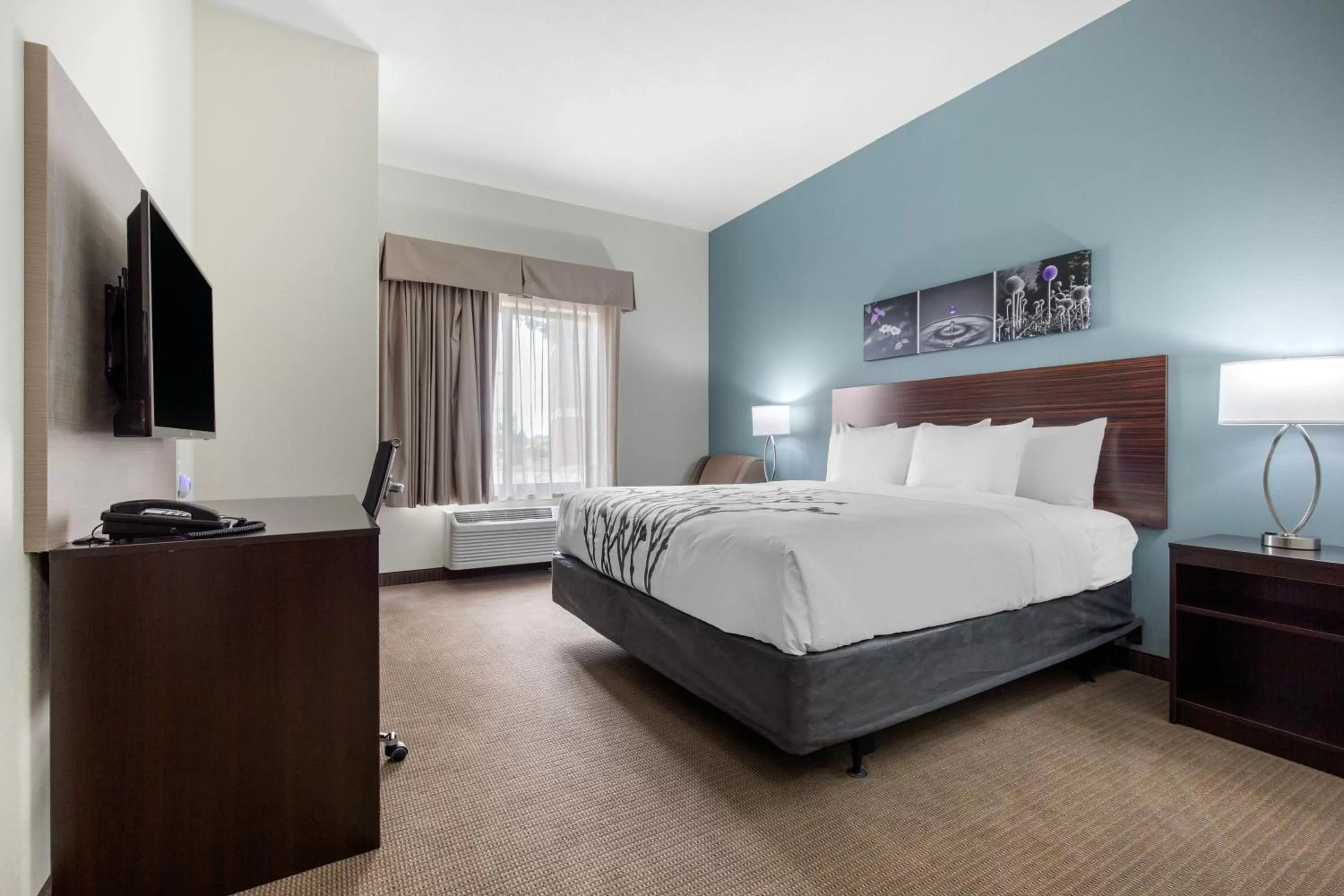 Photo of the whole room, Bed in Sleep Inn & Suites South Jacksonville