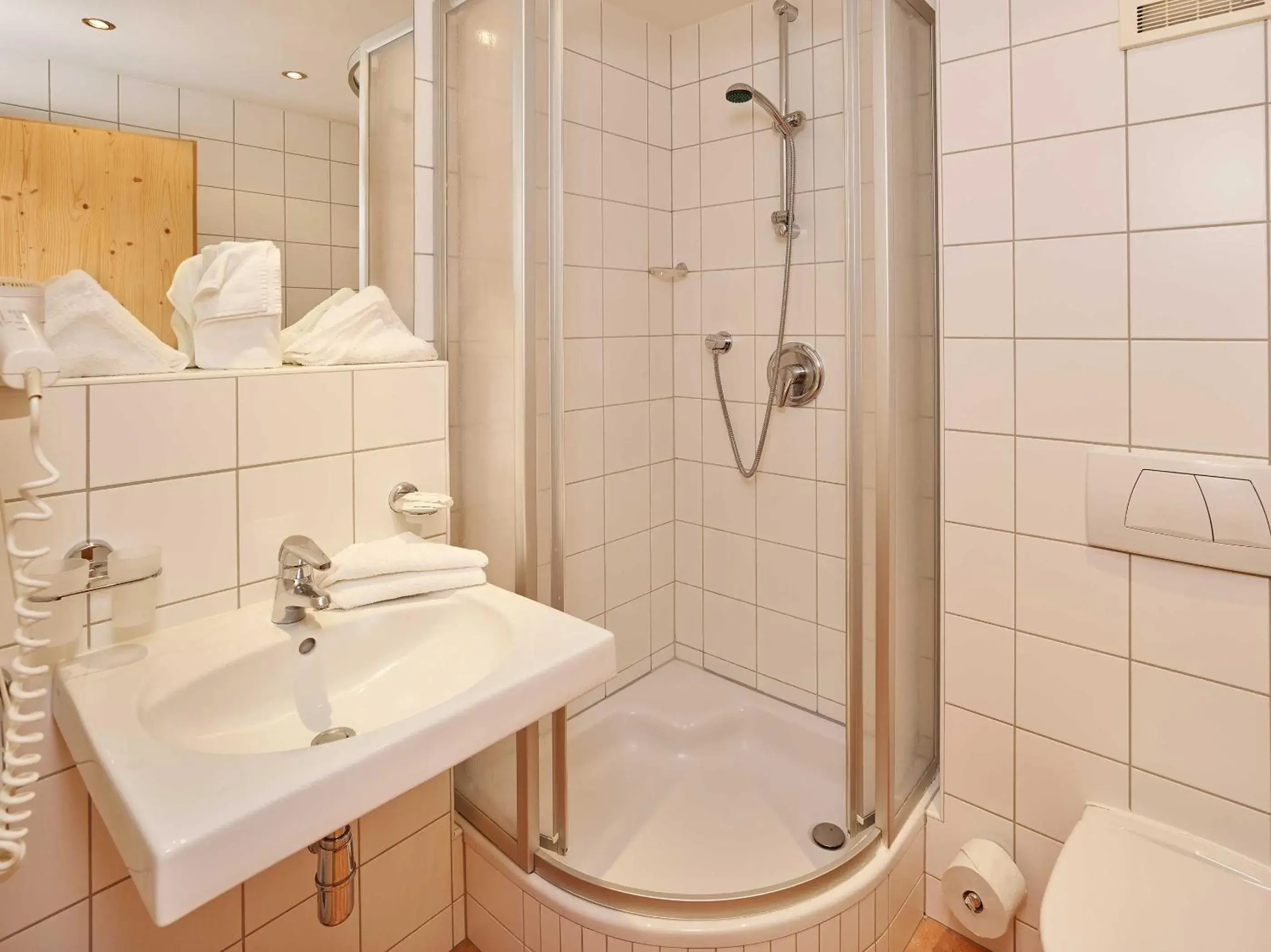 Decorative detail, Bathroom in Hotel Zum Hirschen