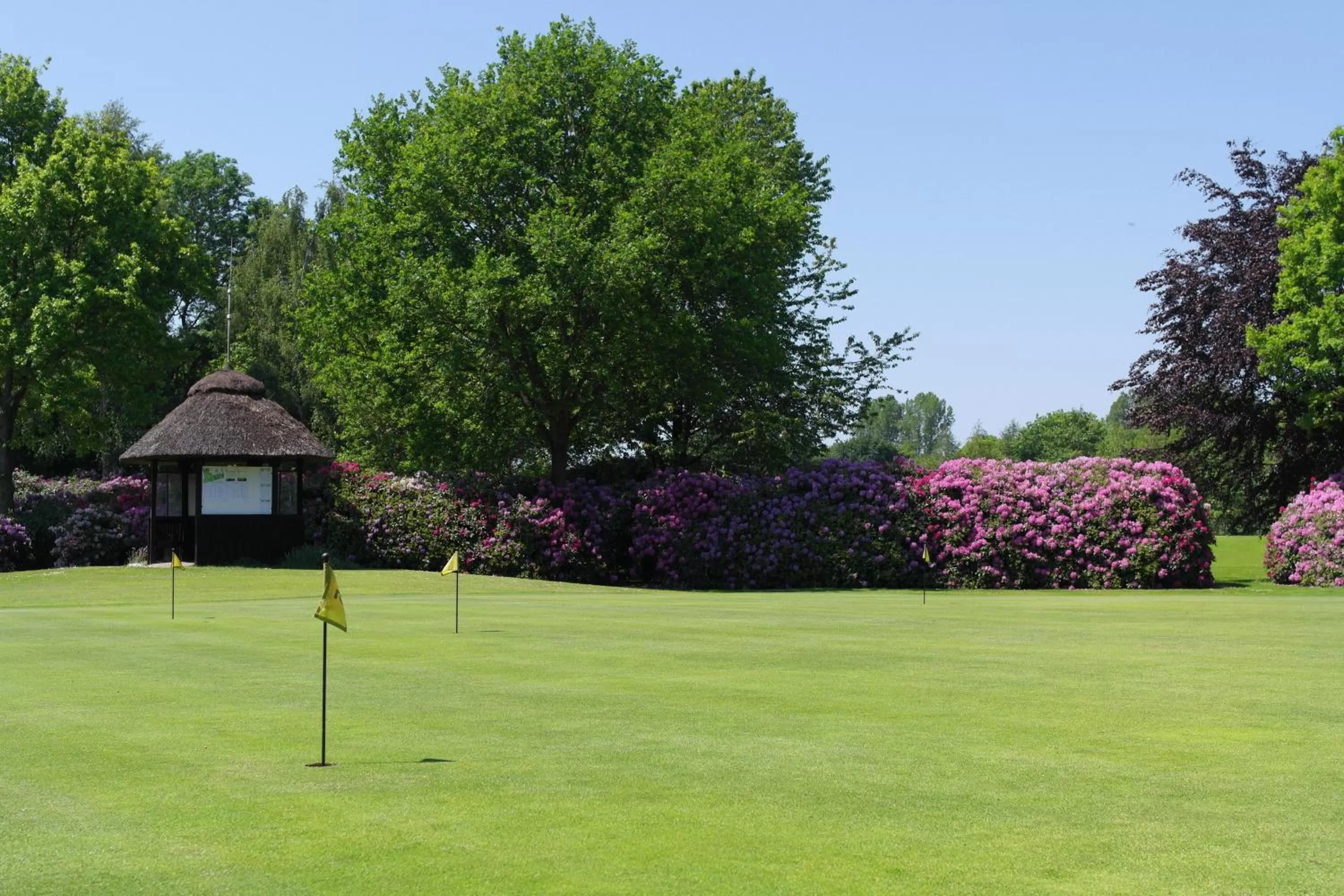 Day in Hotel Blauer Fasan