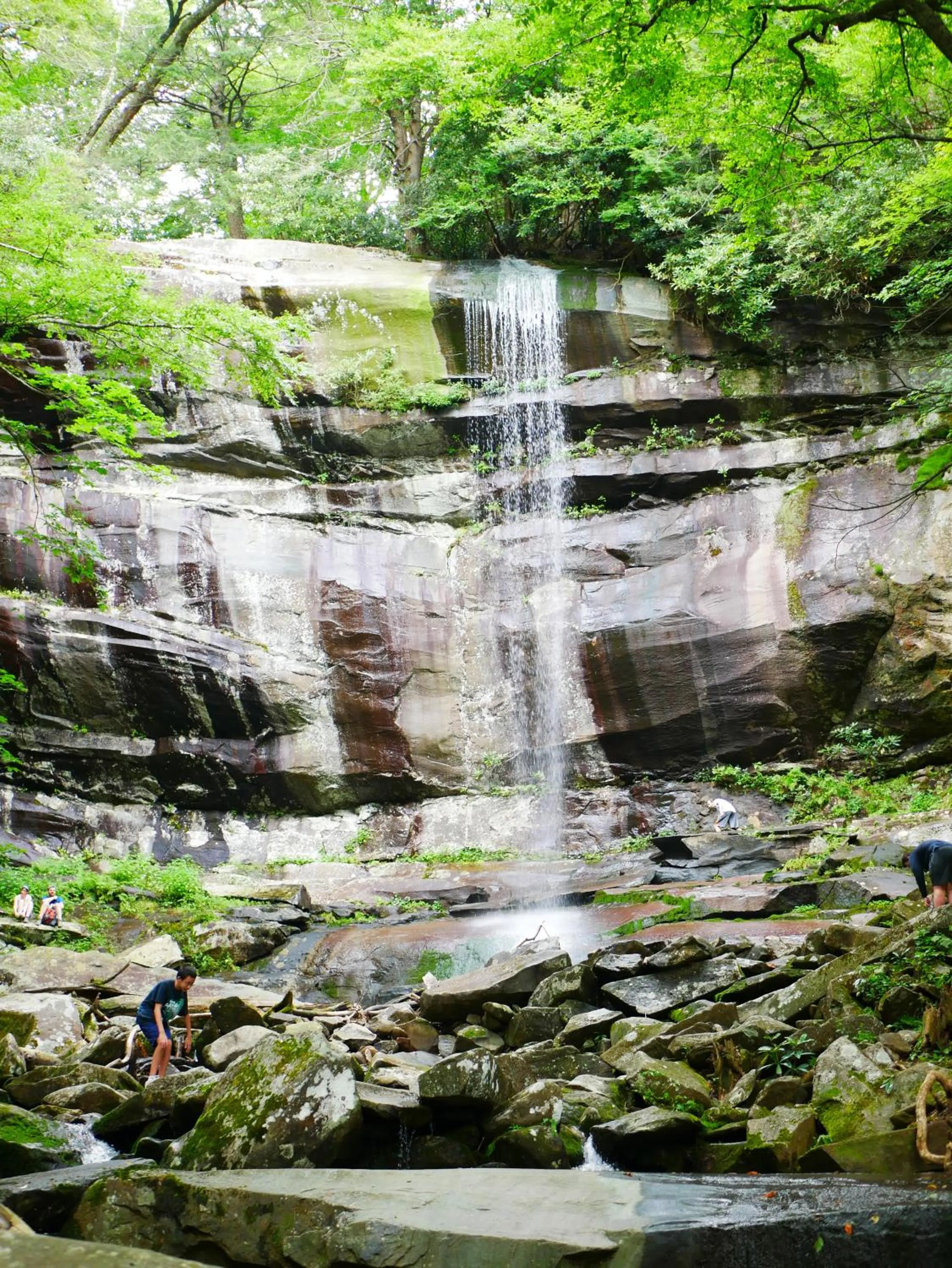 Spring in Americana Inn a Travelodge by Wyndham